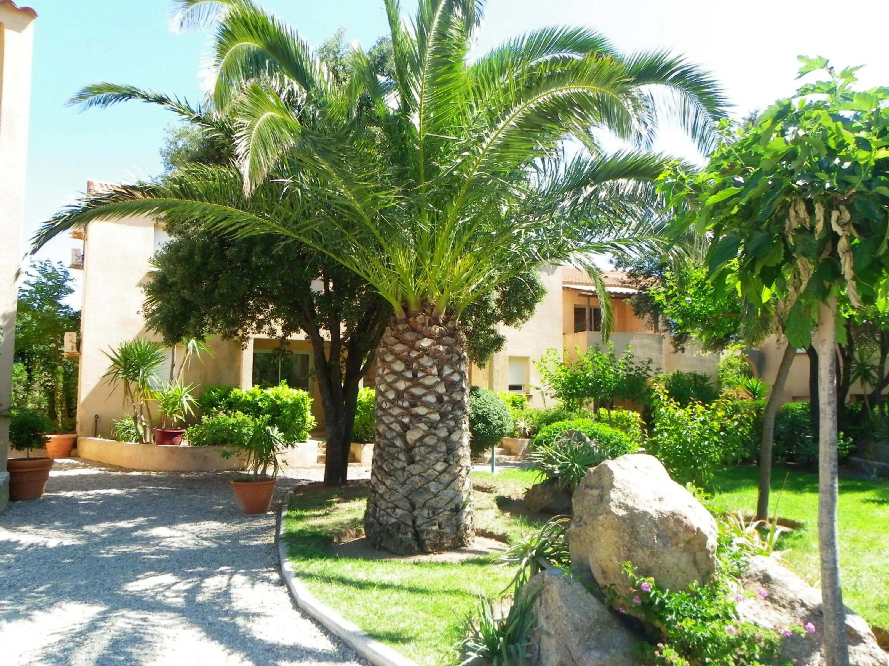Garden in Hôtel et Résidence Benista