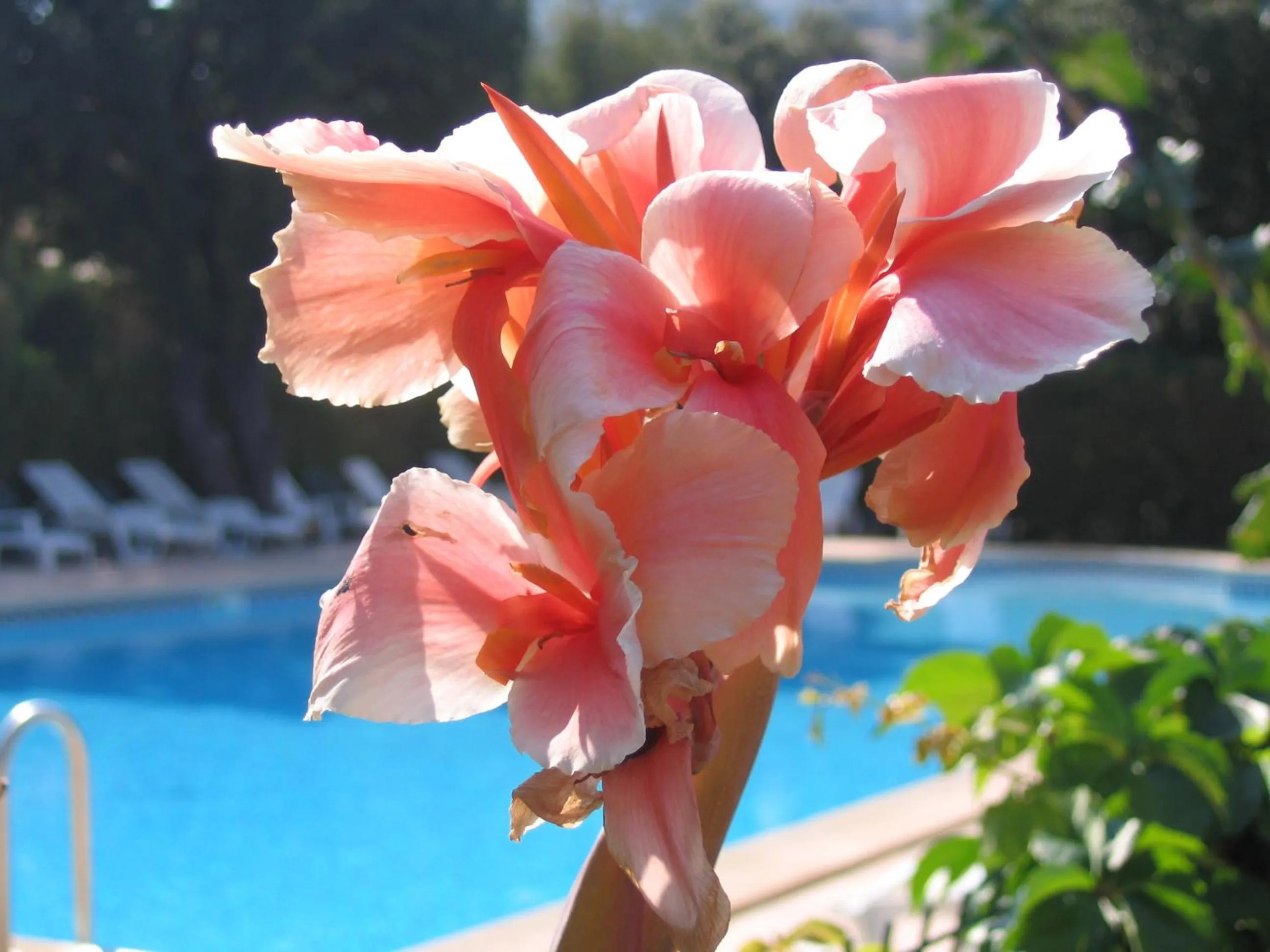 Spring in Hôtel et Résidence Benista