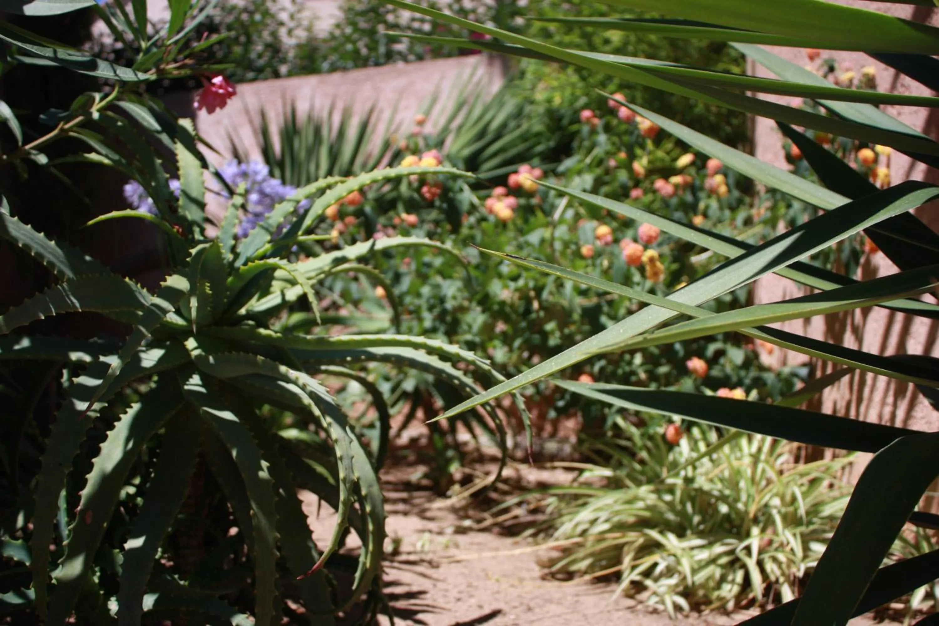 Day in Hôtel et Résidence Benista