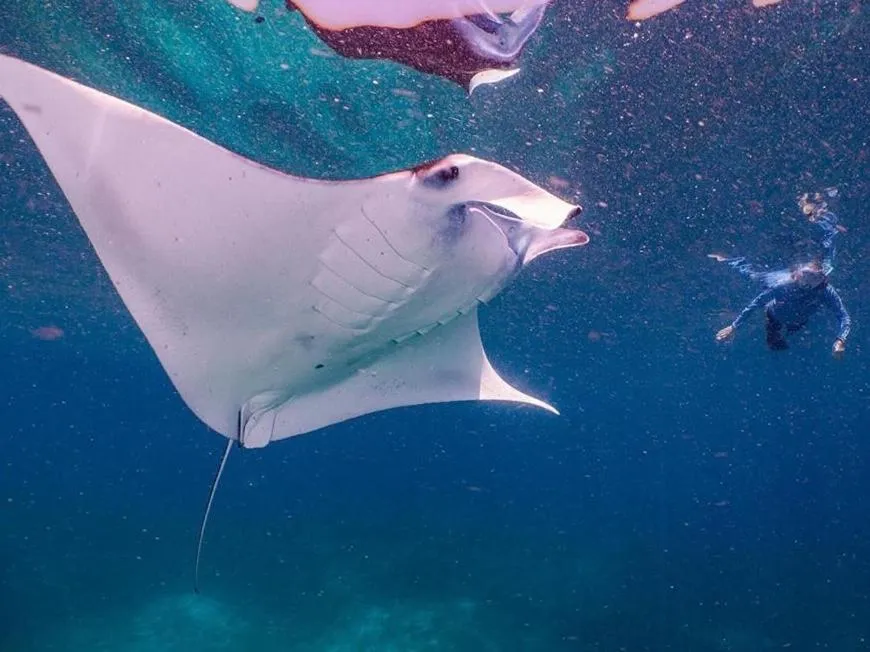 Activities in Komodo Resort