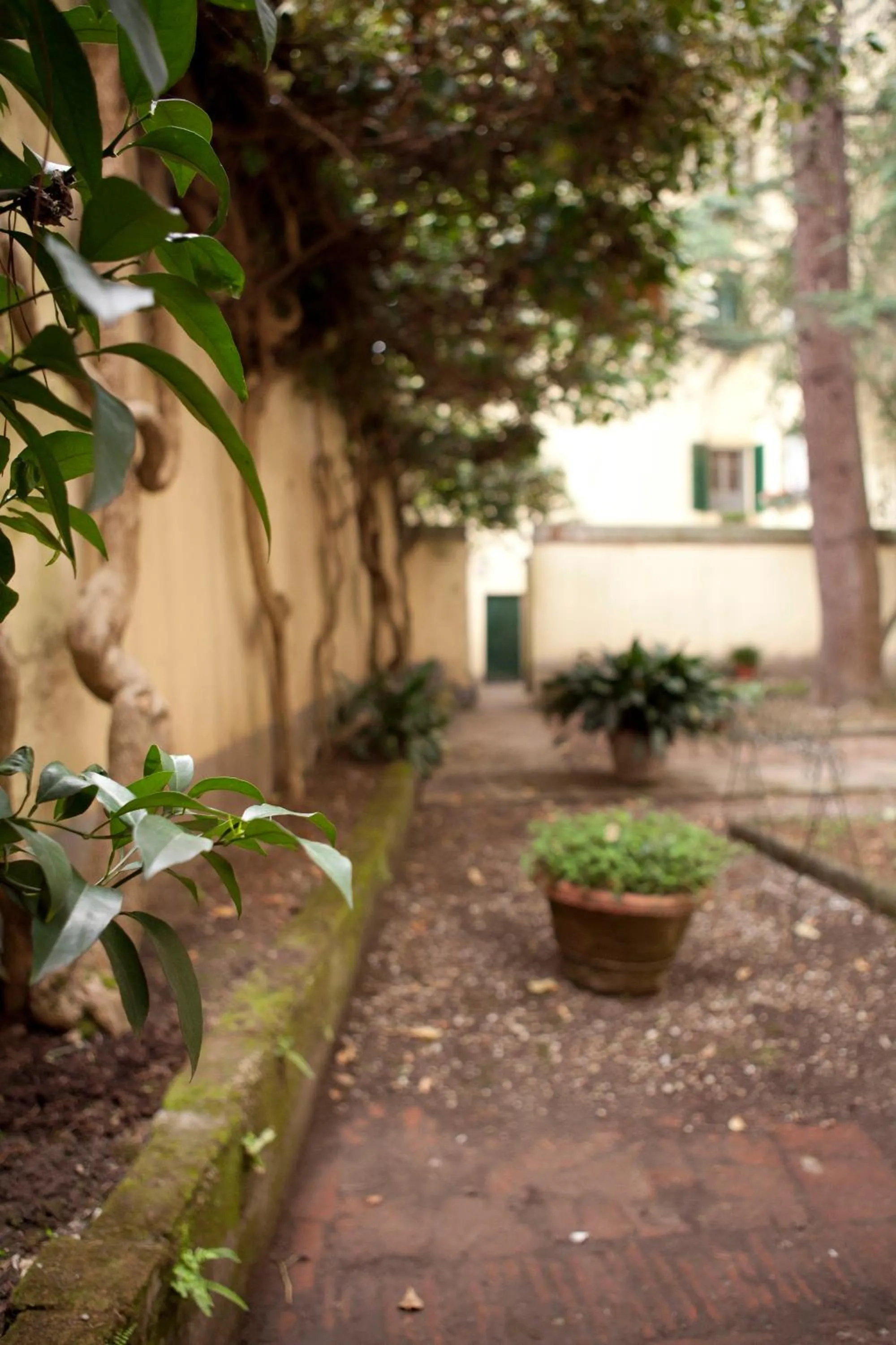 Garden view in La Colonna Historic Centre