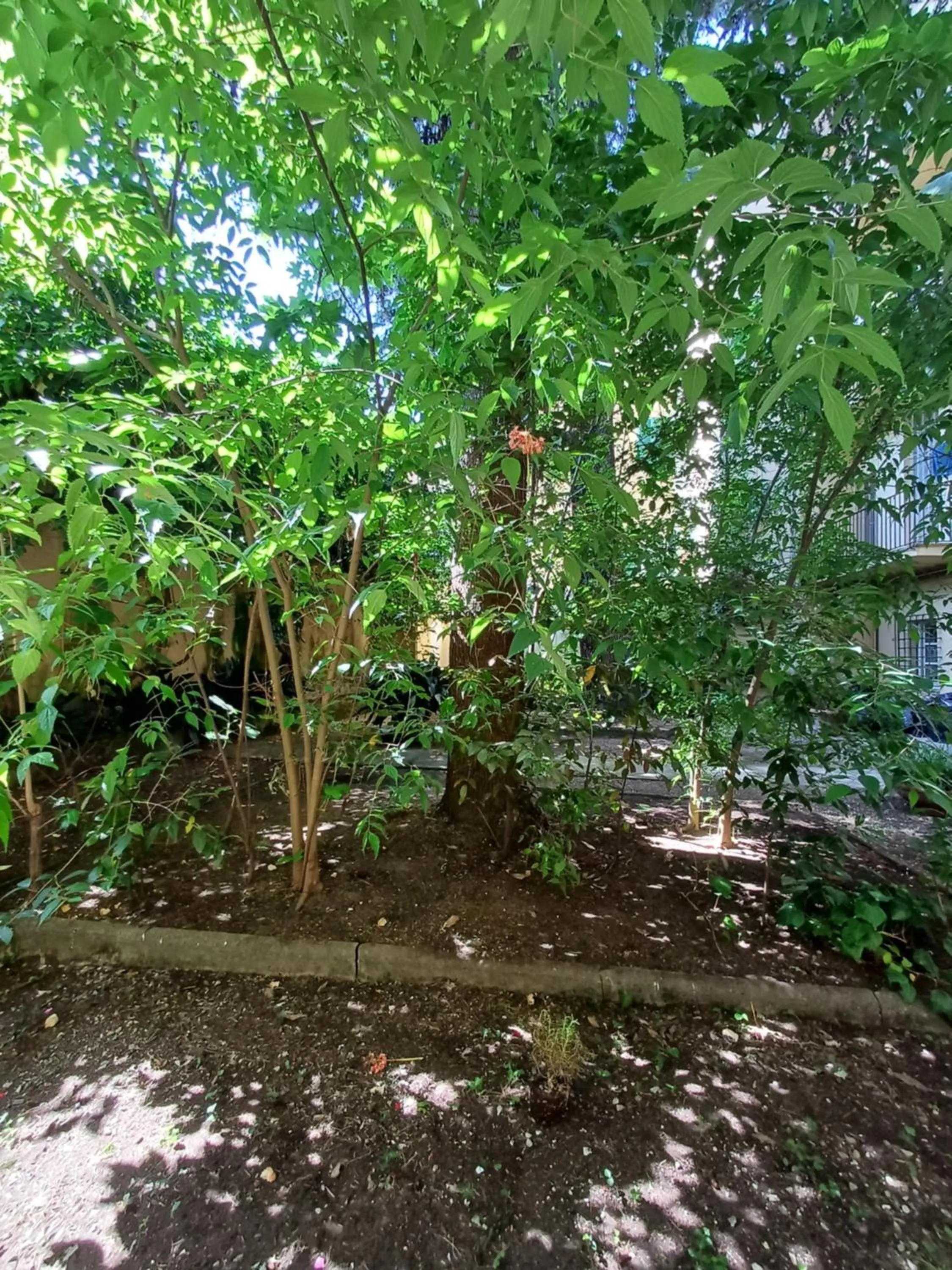 Garden view in La Colonna Historic Centre