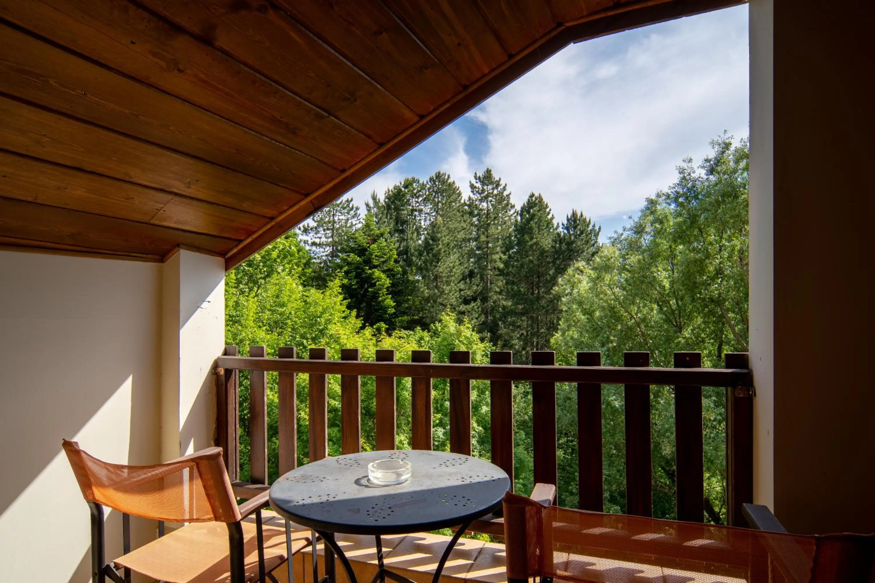 Balcony/Terrace in Hotel Giamandes
