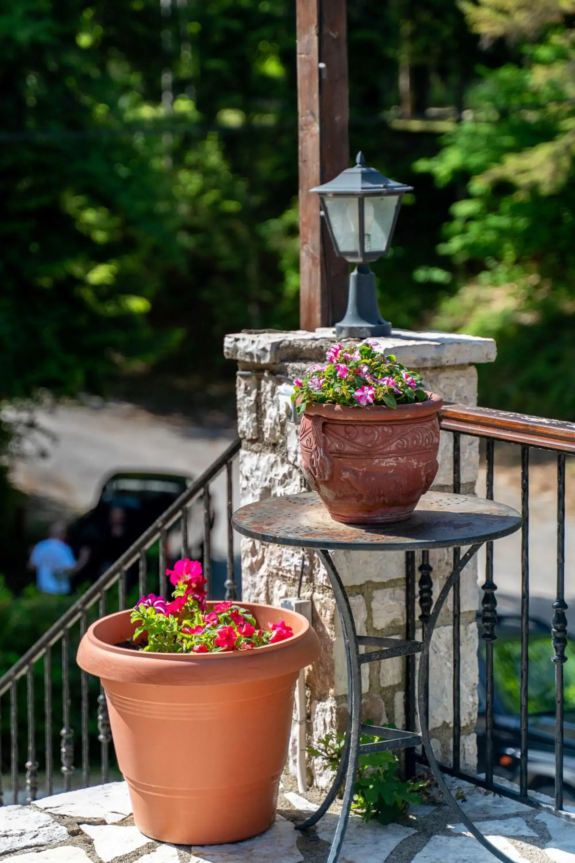 Garden view in Hotel Giamandes Garden view in Hotel Giamandes