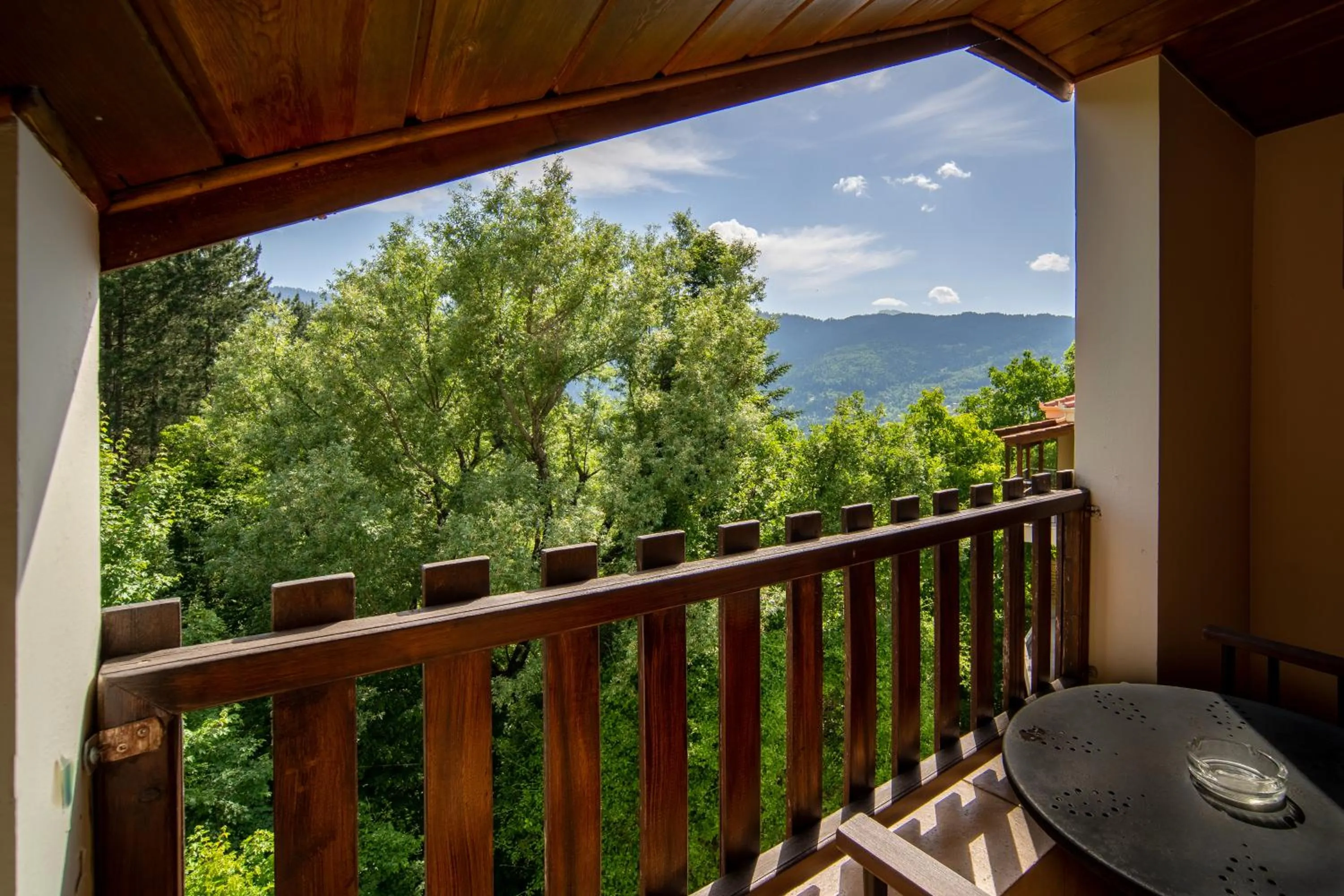 Balcony/Terrace in Hotel Giamandes