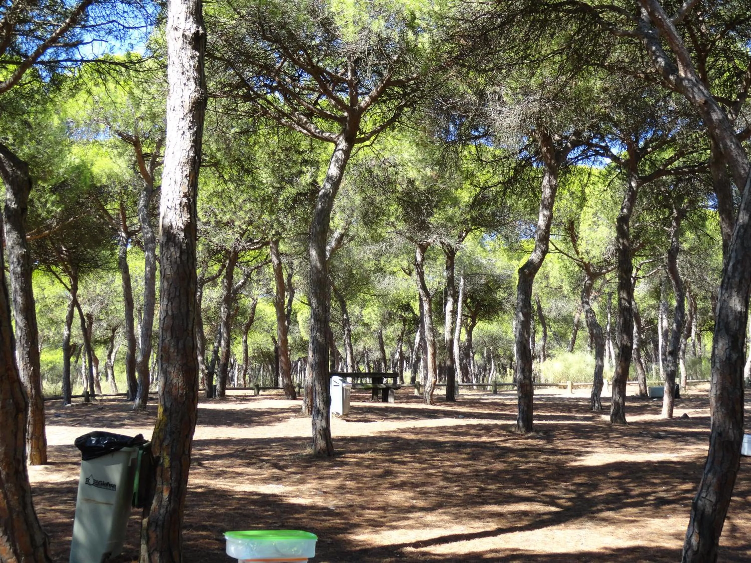 Area and facilities in Alagoa Azul