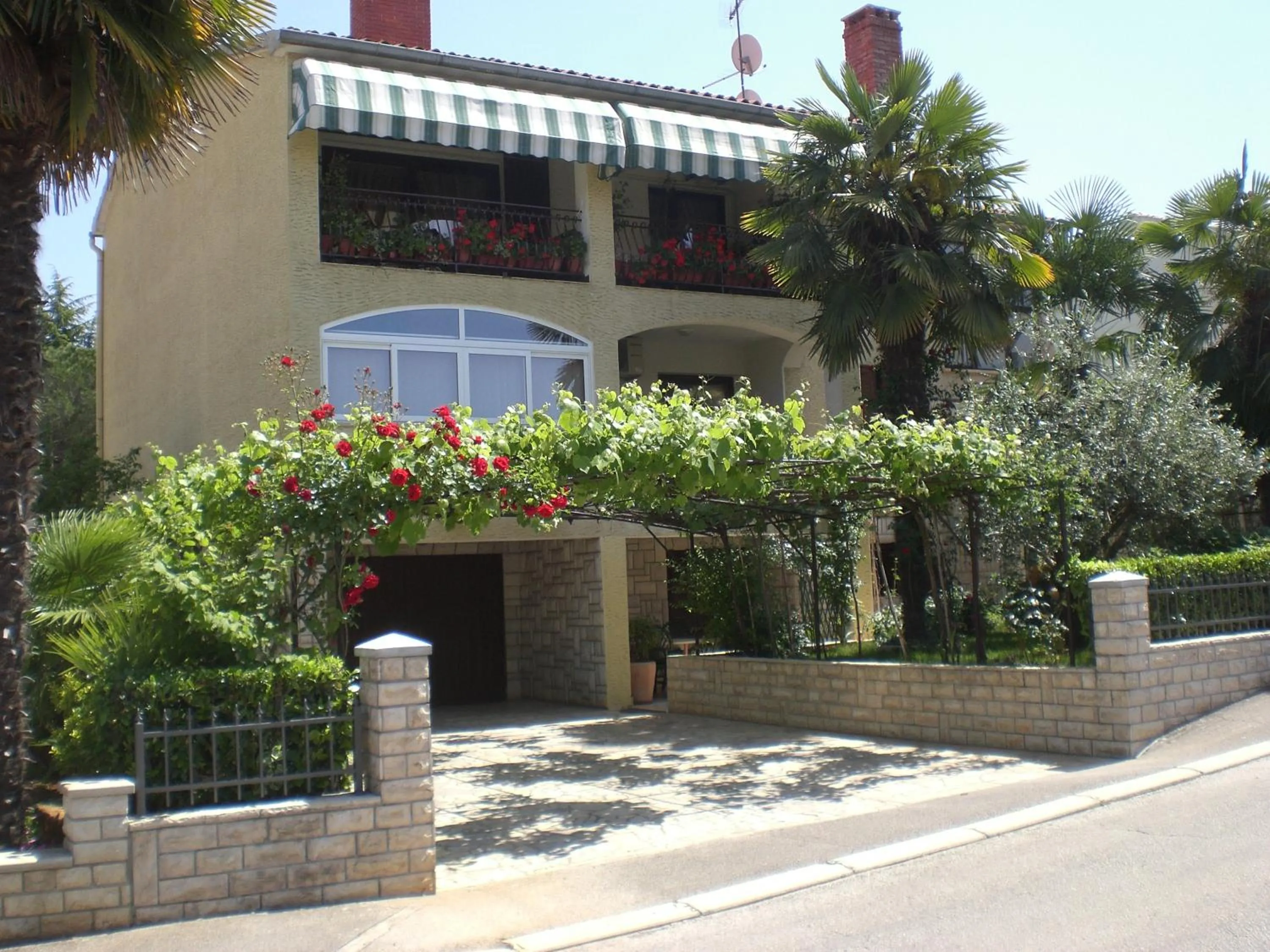 Apartments Boris