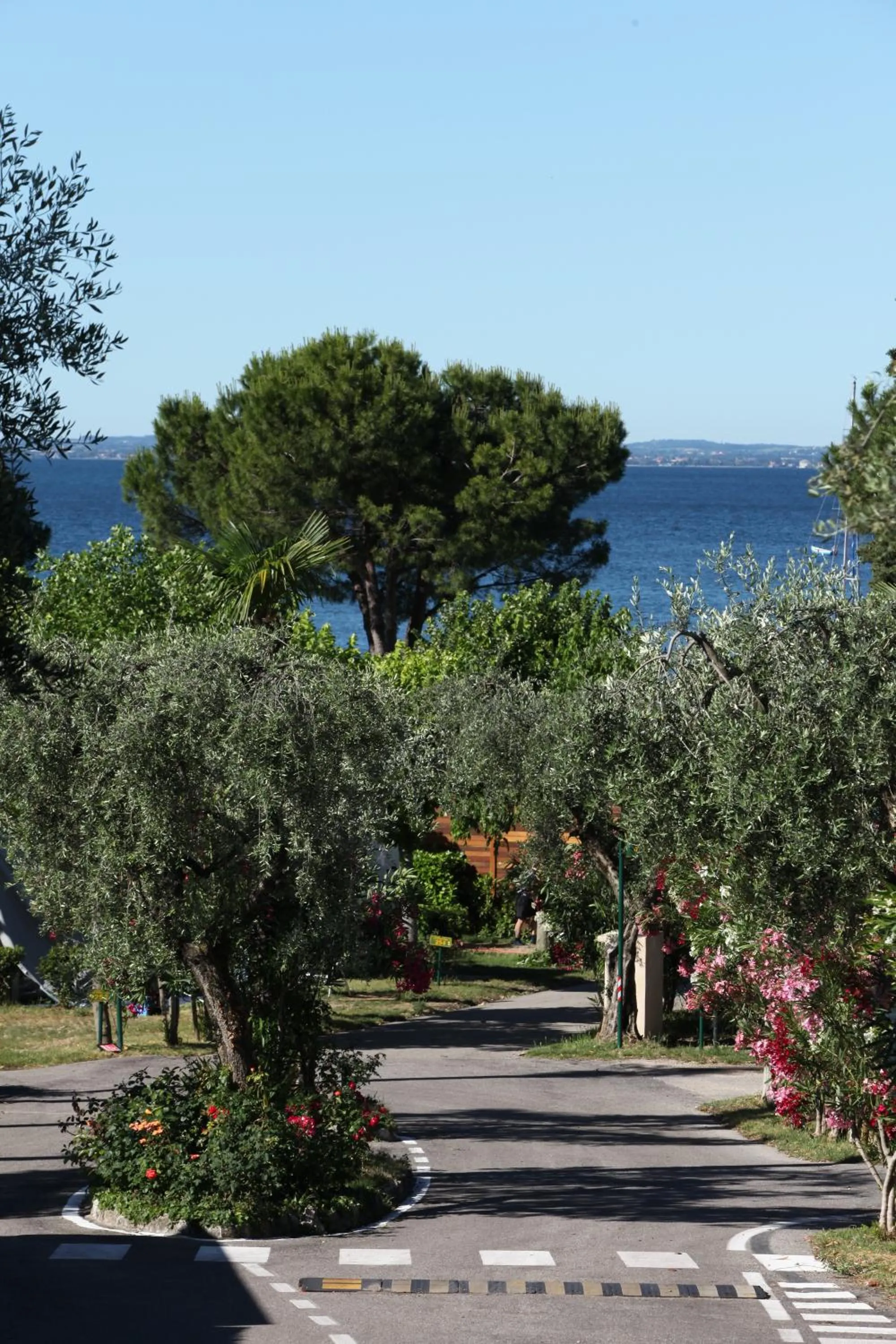 Facade/entrance in La Rocca Camping Village
