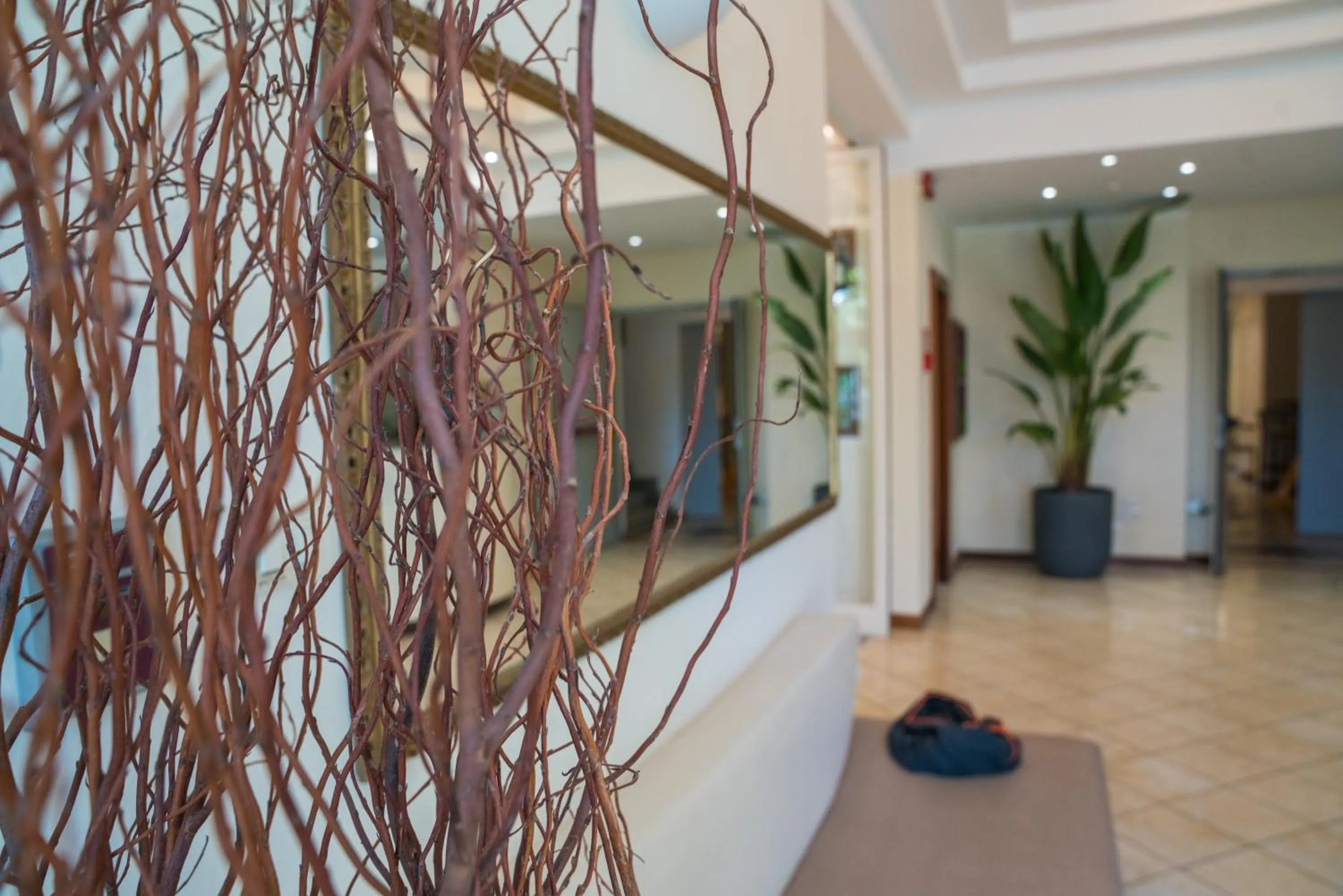 Lobby or reception in Hotel Europa Milano Marittima
