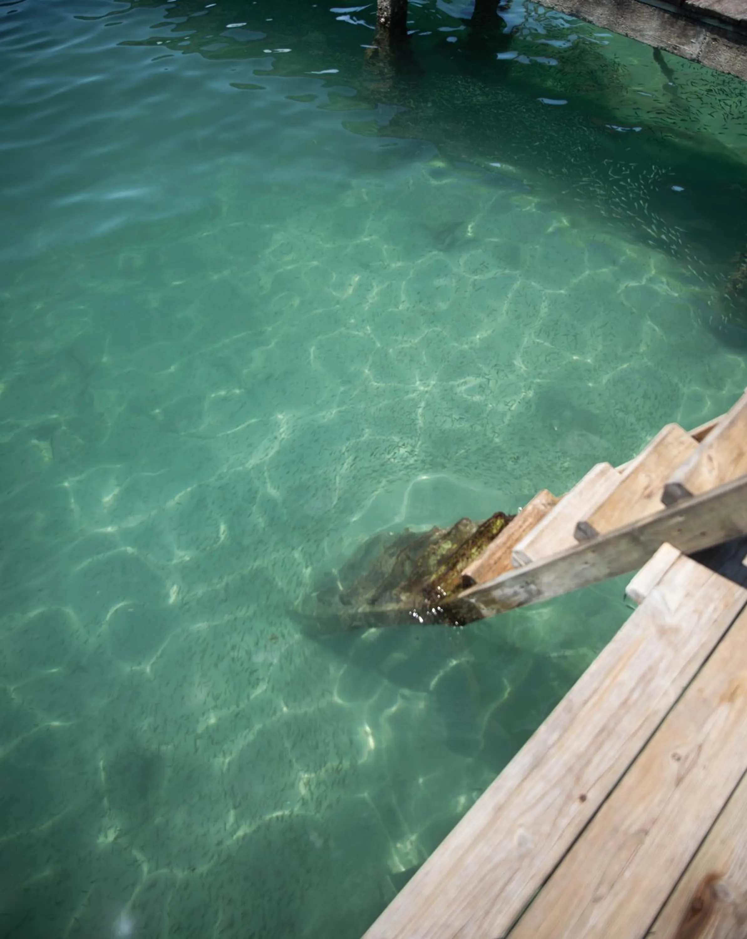 Sea view in RIVA B&B