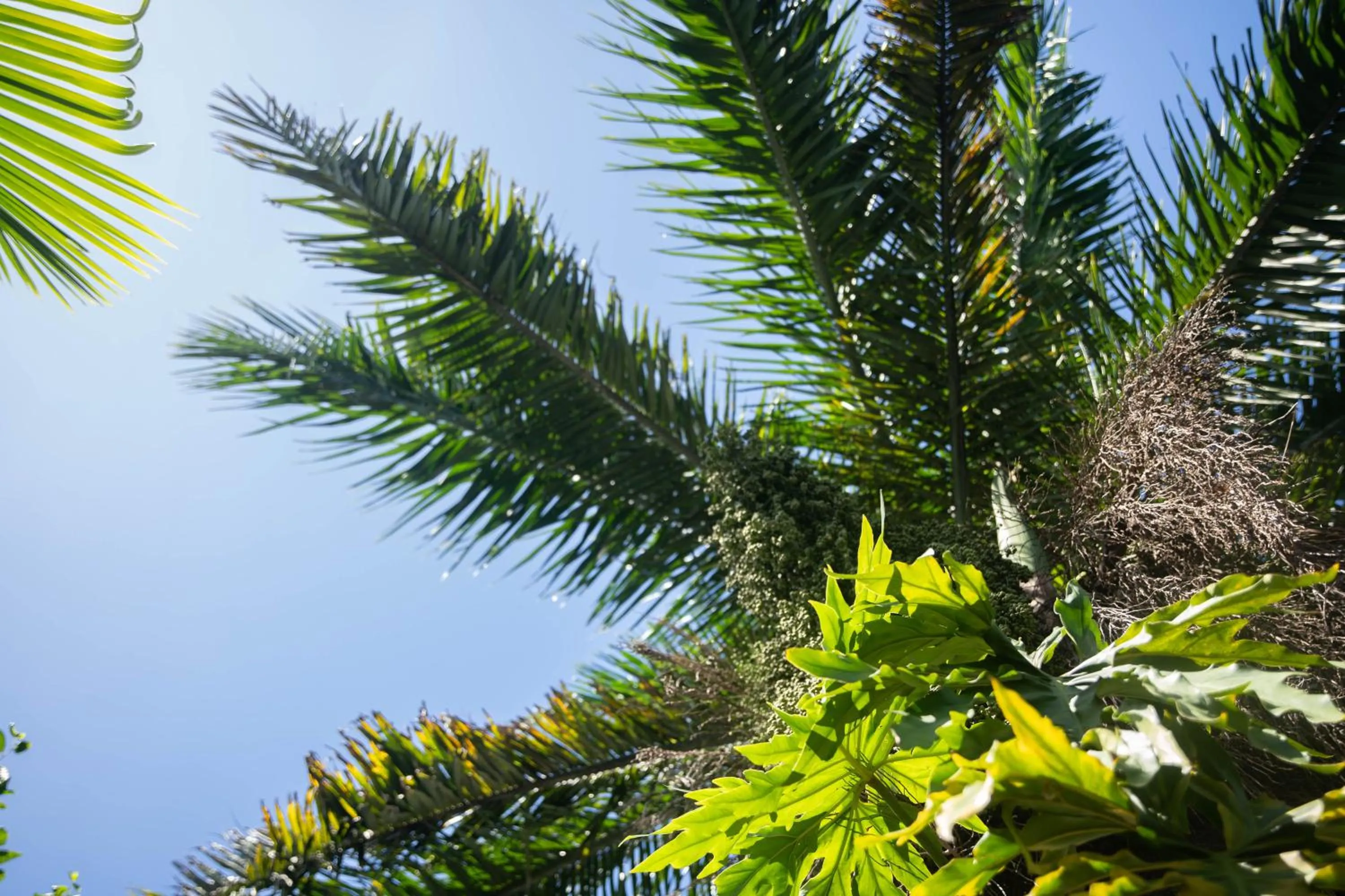 Garden view in RIVA B&B