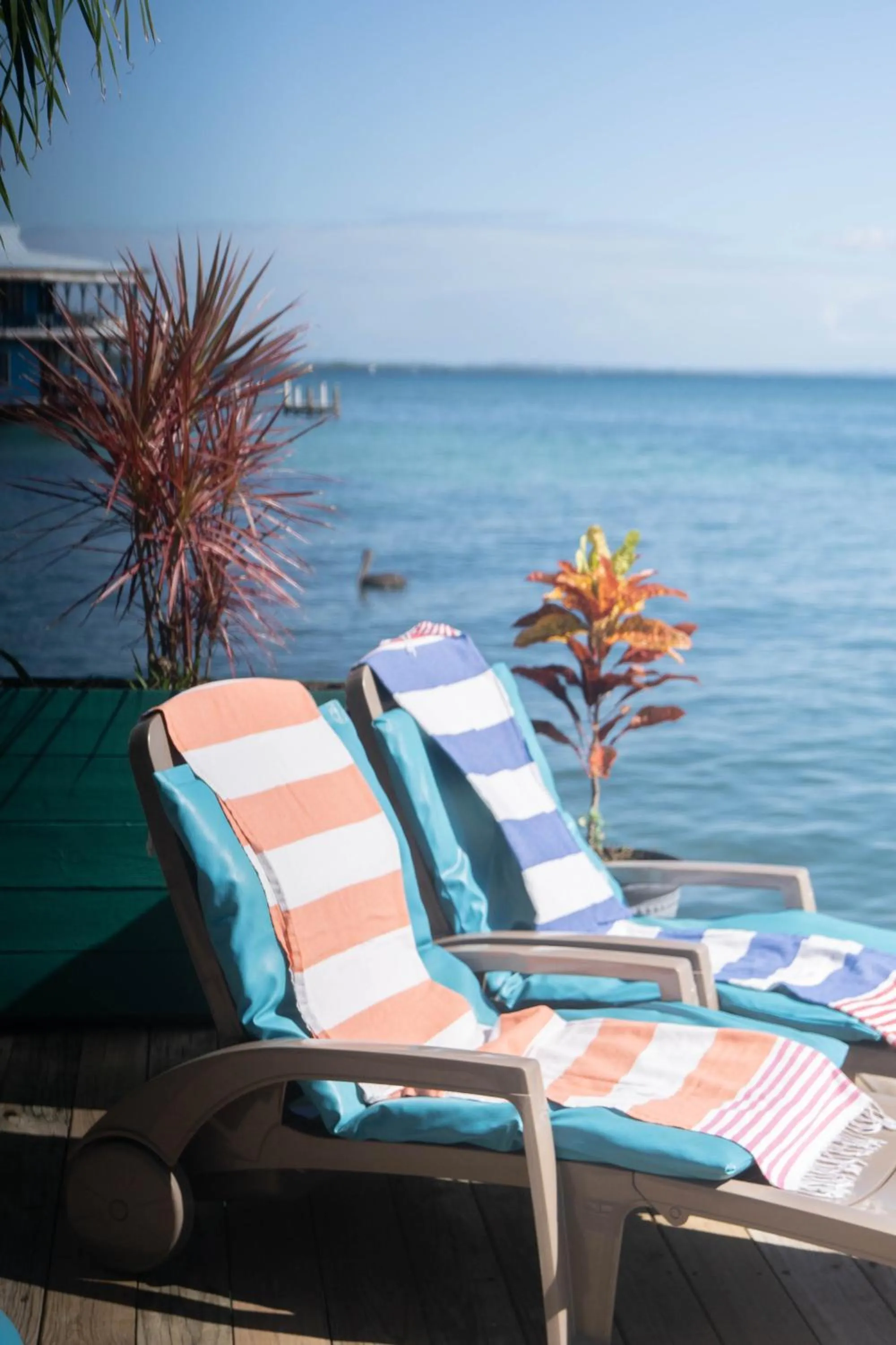 Sea view in RIVA B&B