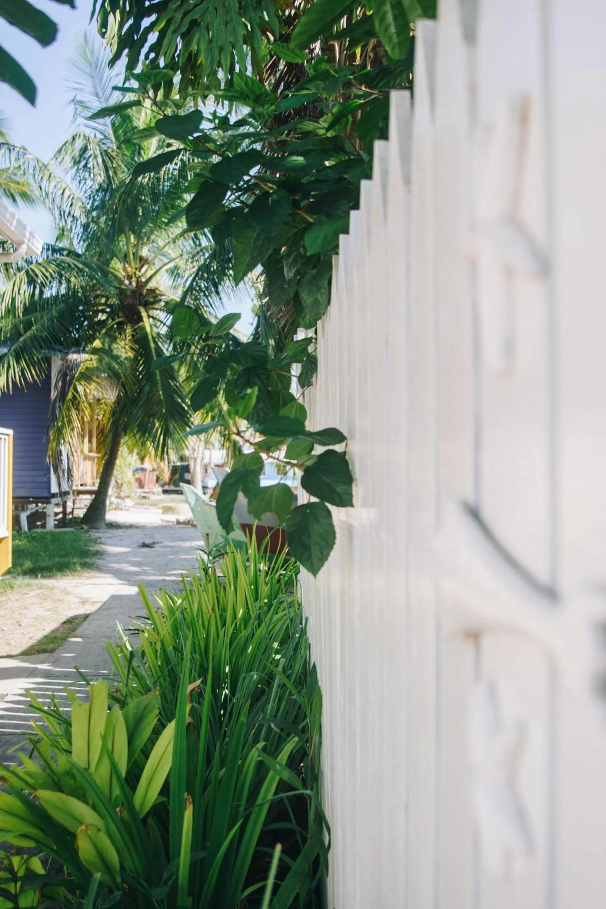 Property building in RIVA B&B