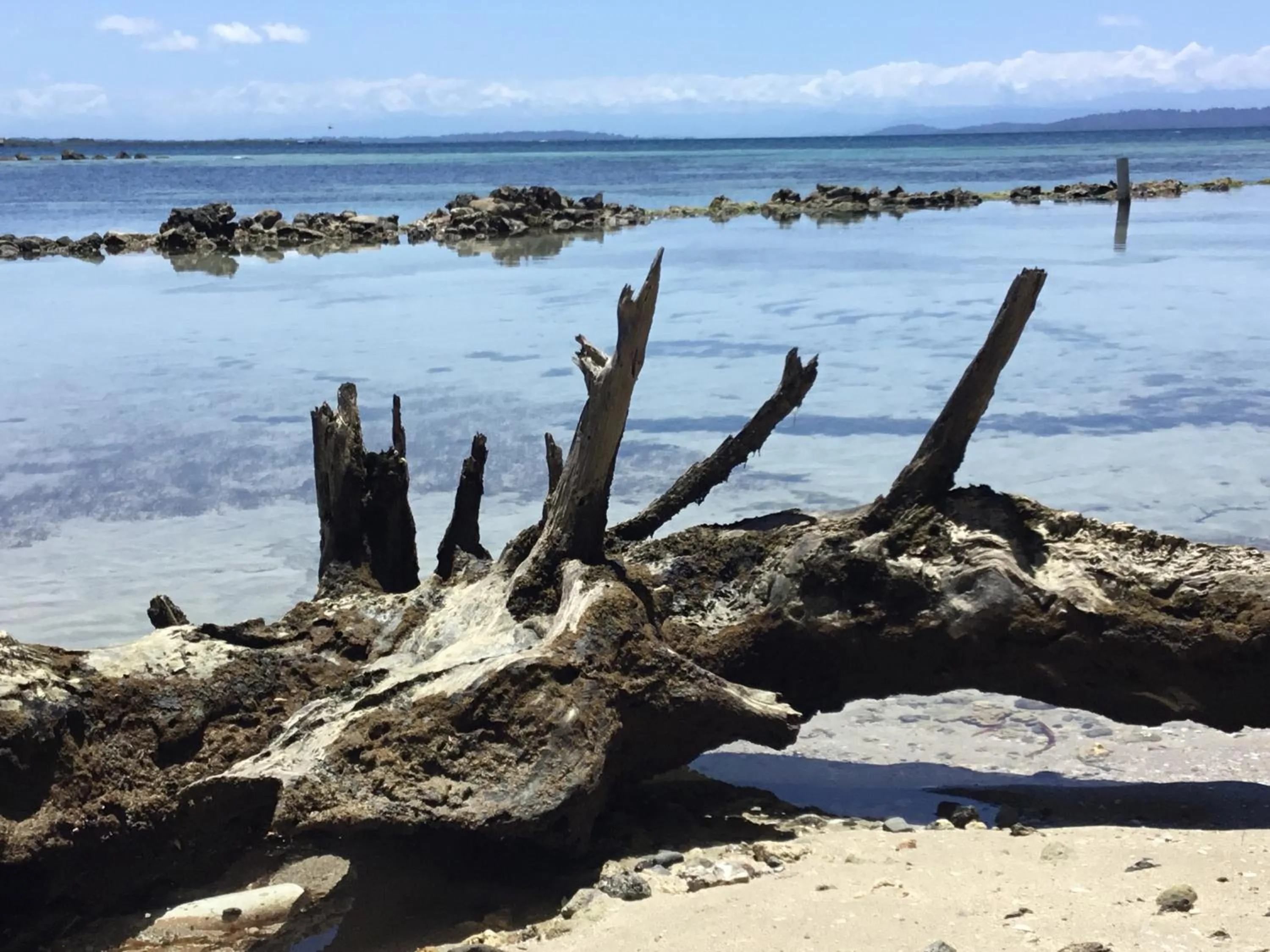 Natural landscape in RIVA B&B