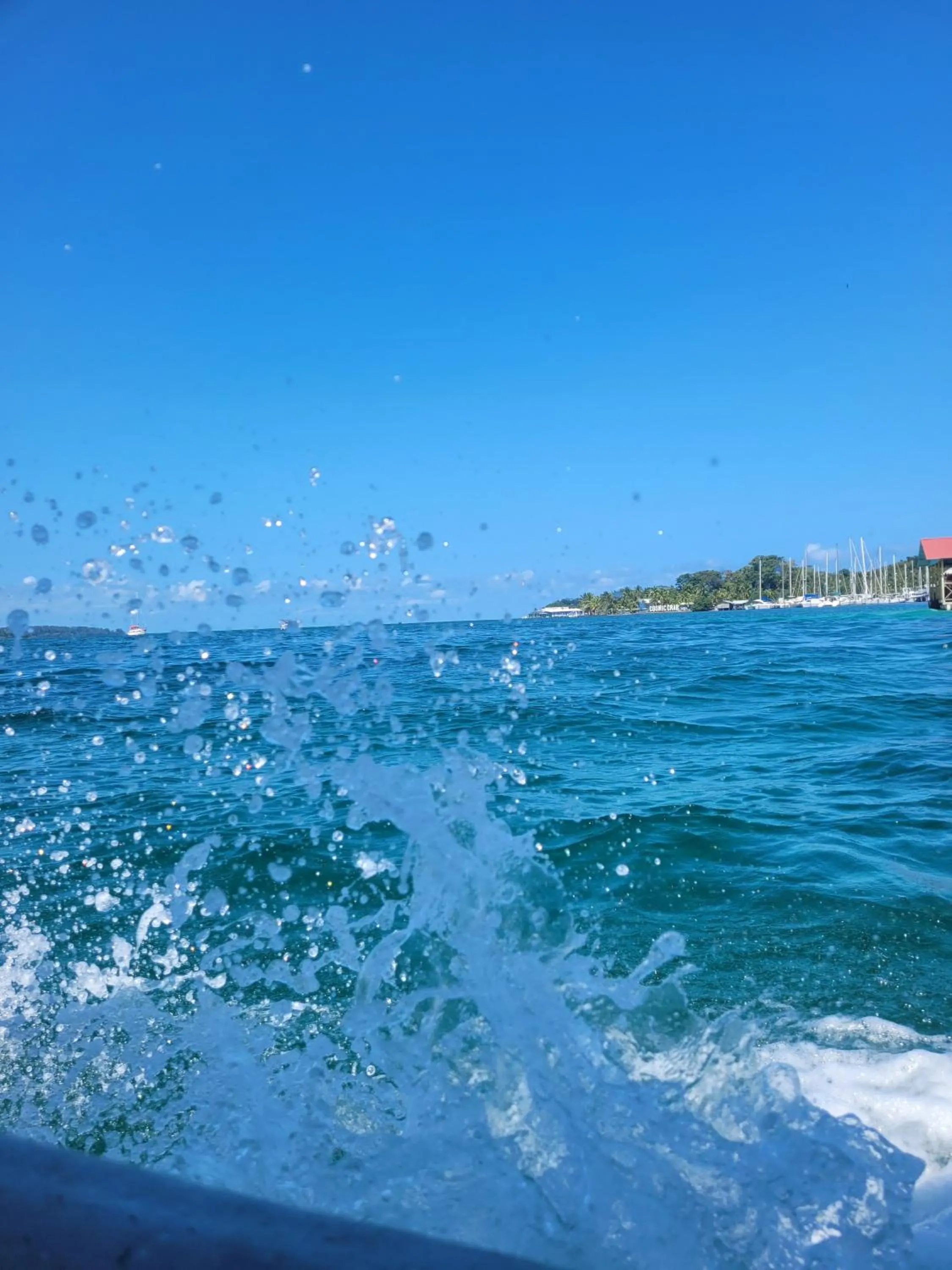 Sea view in RIVA B&B