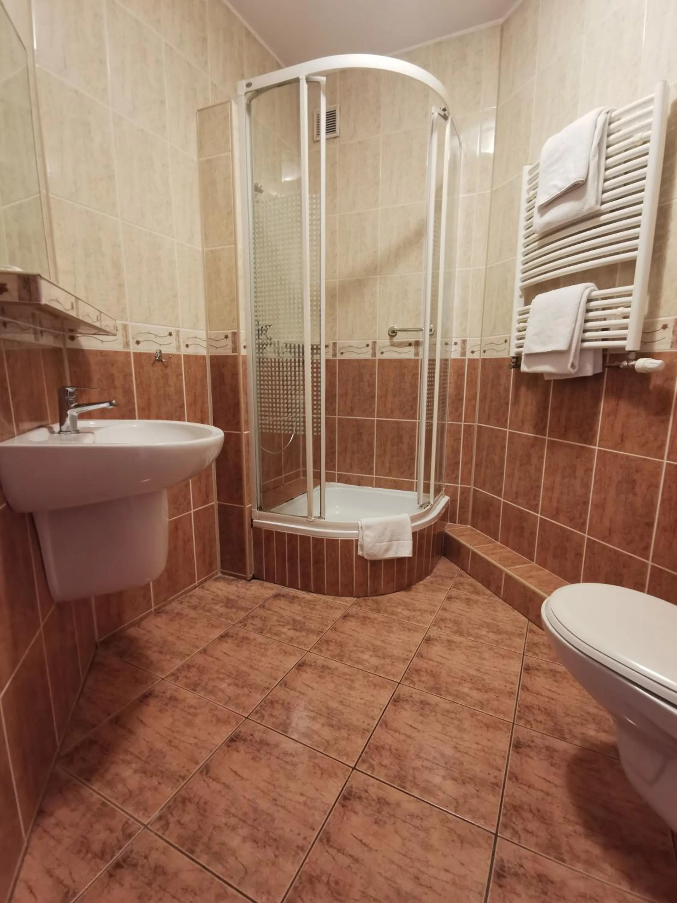 Bathroom in Hotel Zieliniec