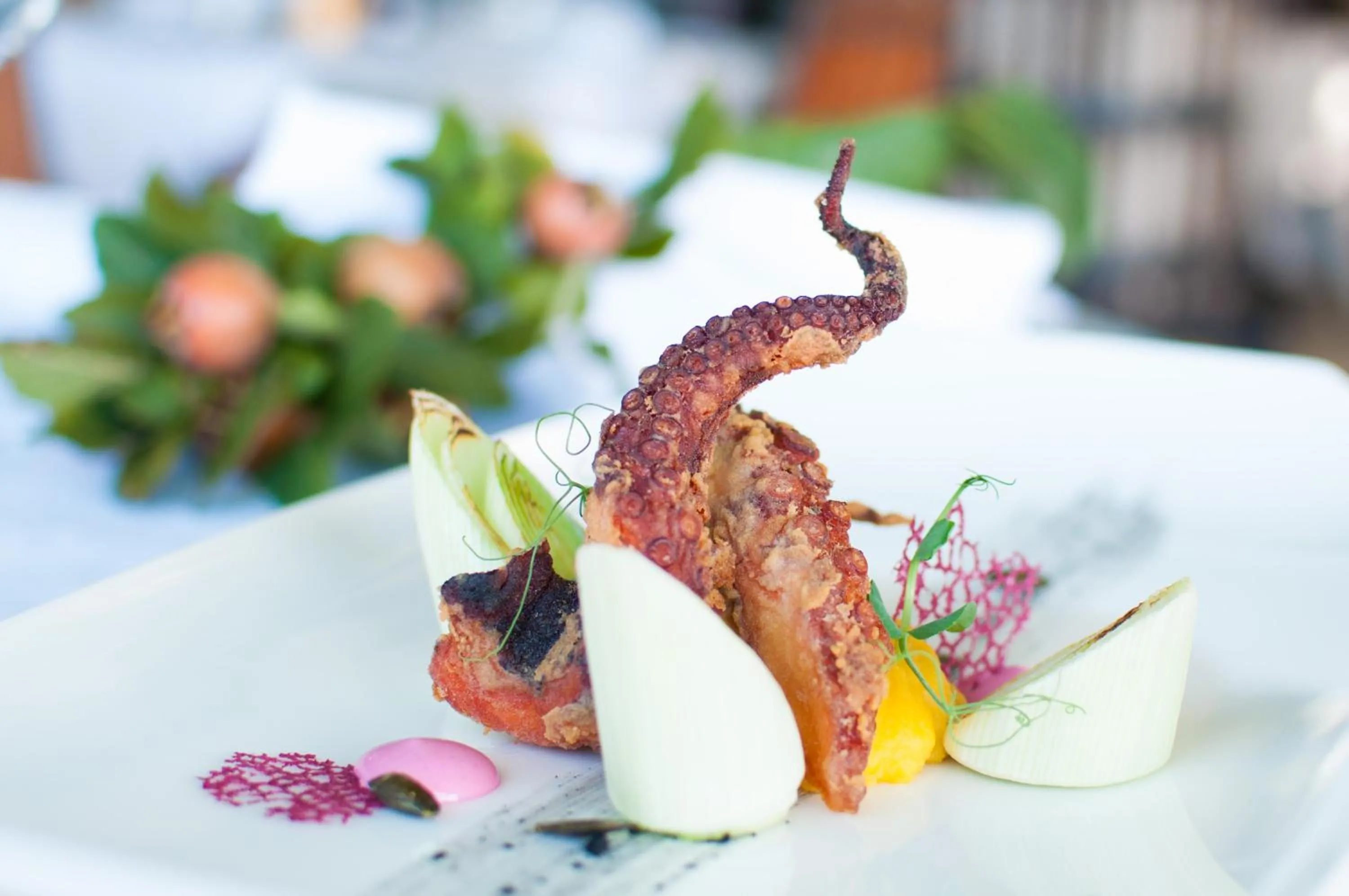 Food close-up in Hotel Marina