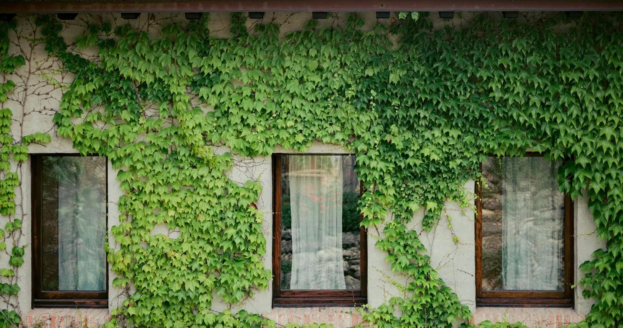 Property building in Cappuccini Resort