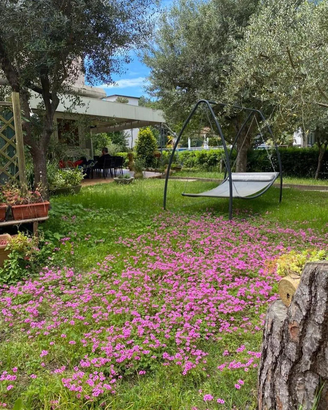 Garden in Hotel Rosapineta - Adults Only