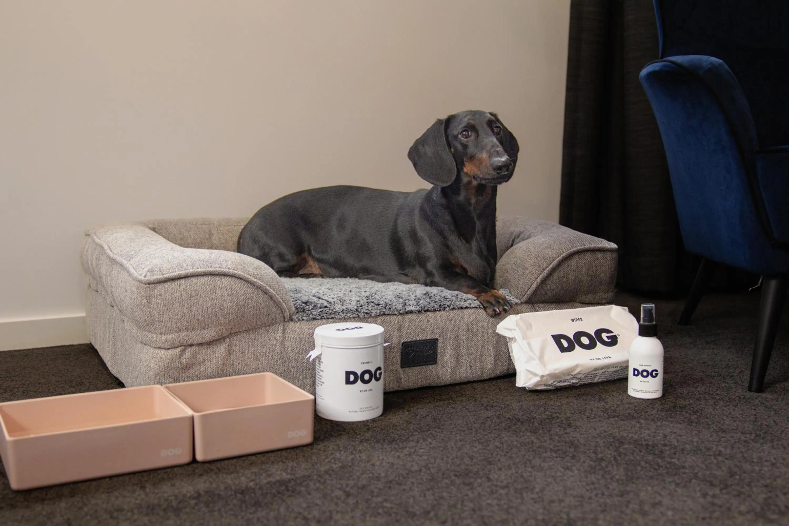 pet friendly in The Sebel Canberra Civic