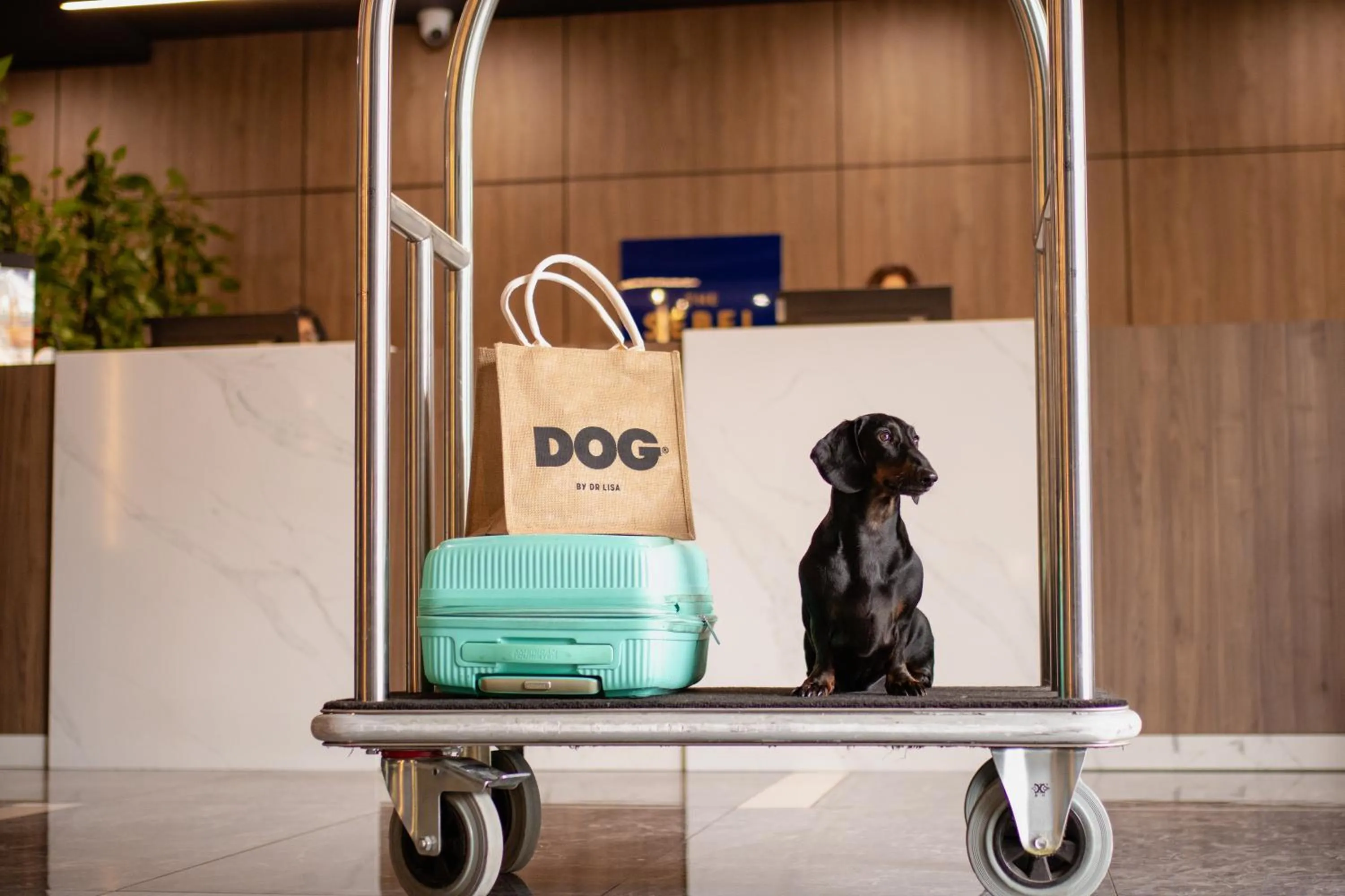 pet friendly in The Sebel Canberra Civic