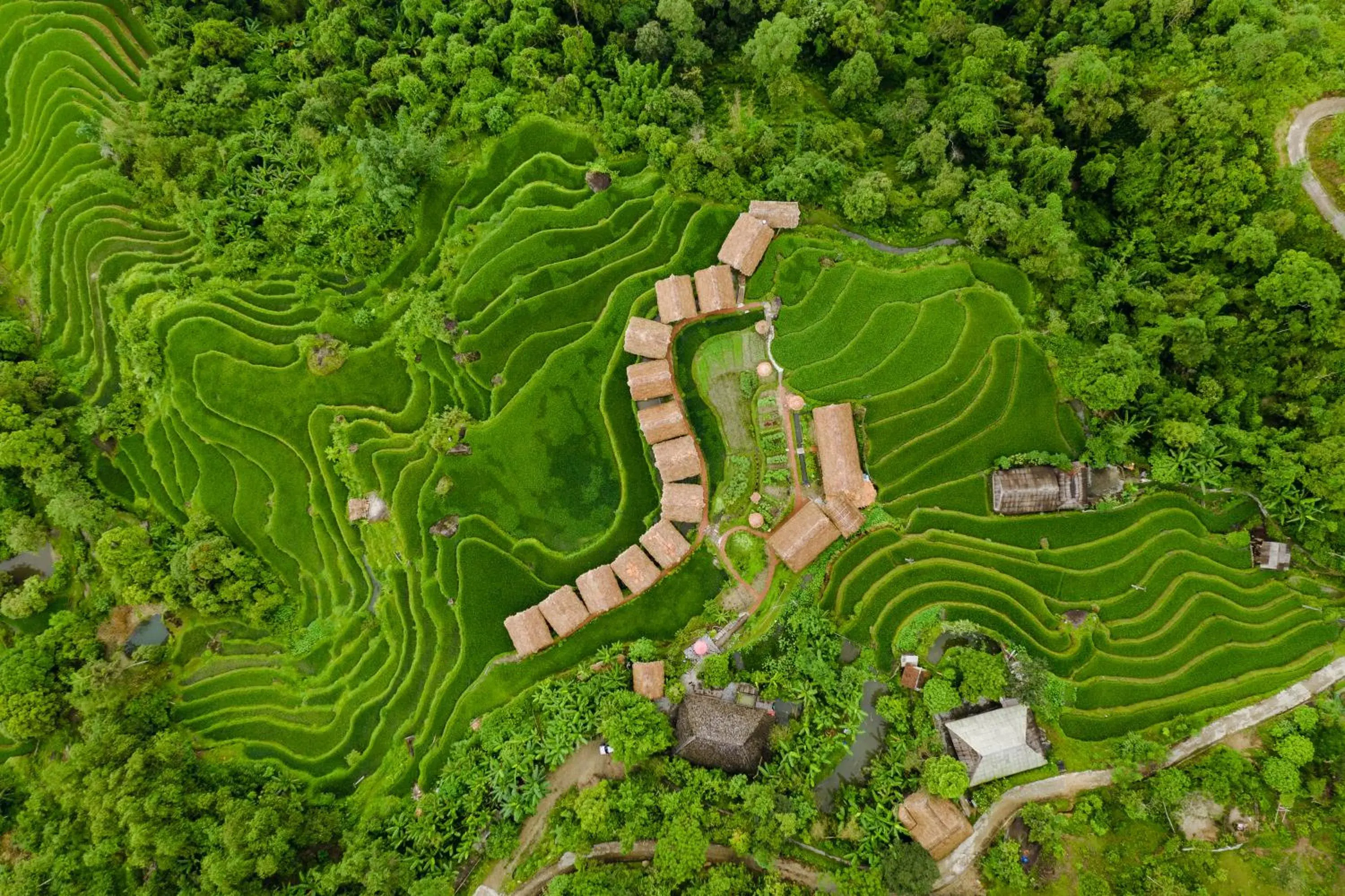 Bird's eye view in Hoang Su Phi Lodge Bird's eye view in Hoang Su Phi Lodge