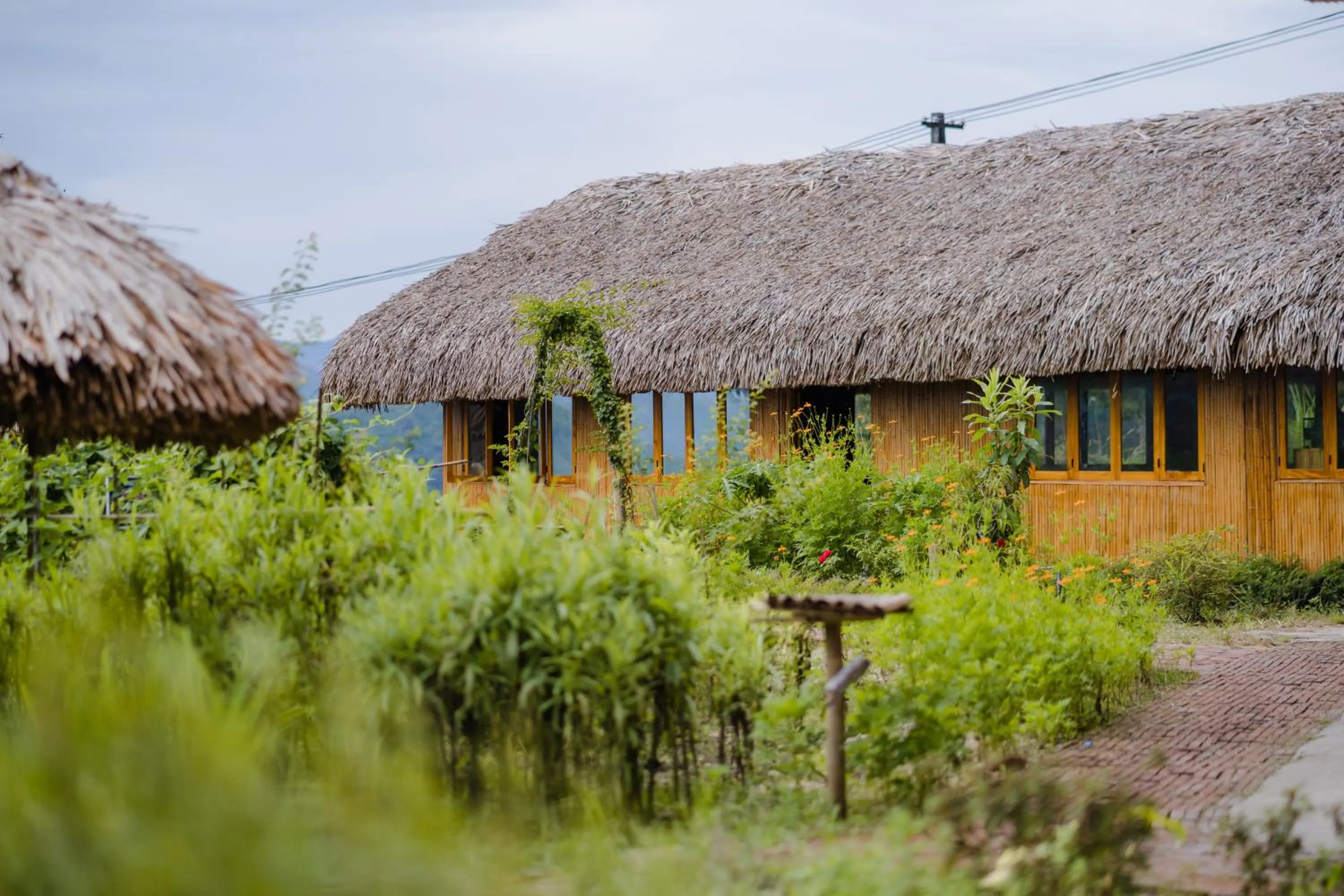 Hoang Su Phi Lodge