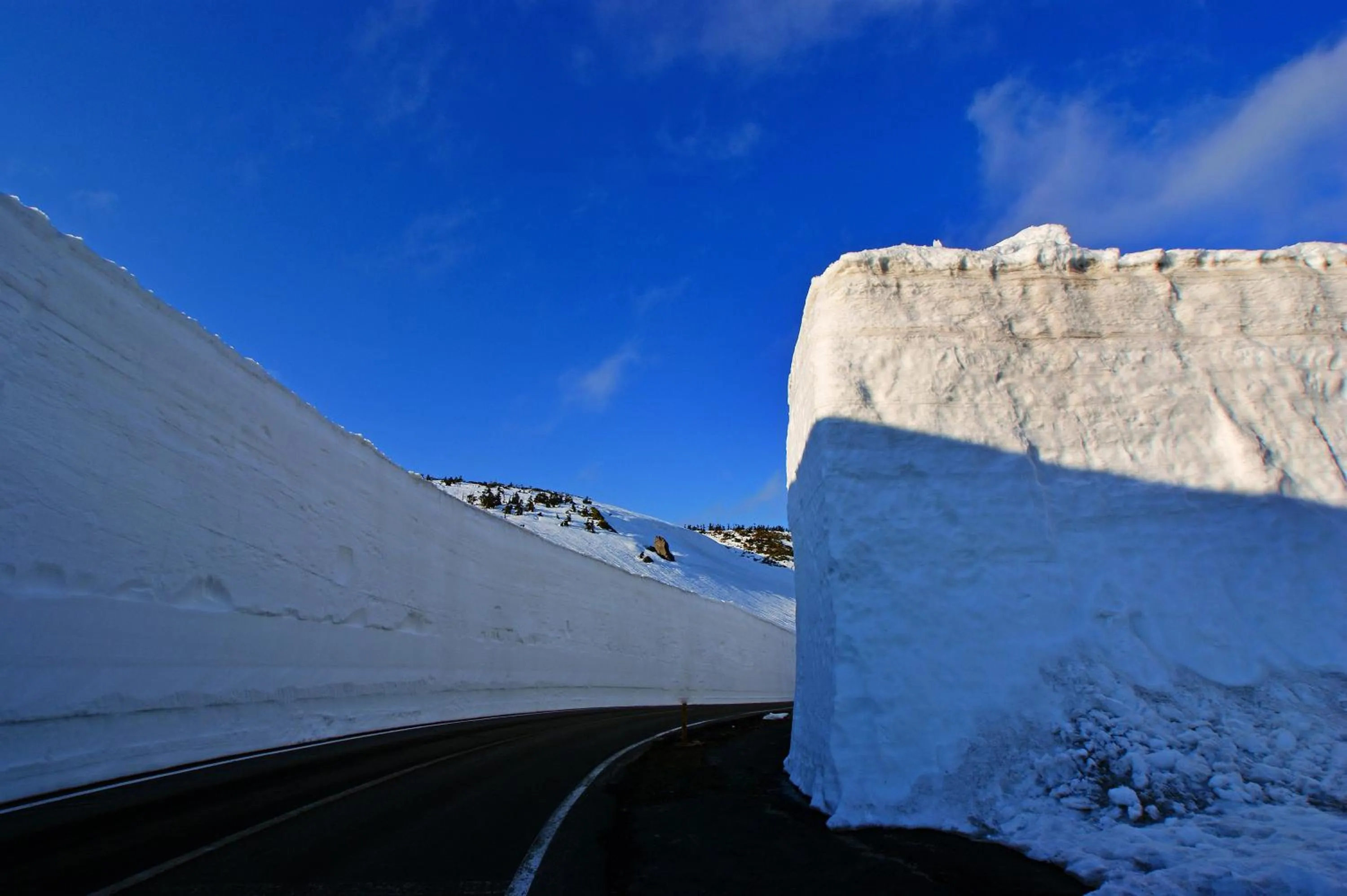 Spring in Pension Entre - deux - Mers