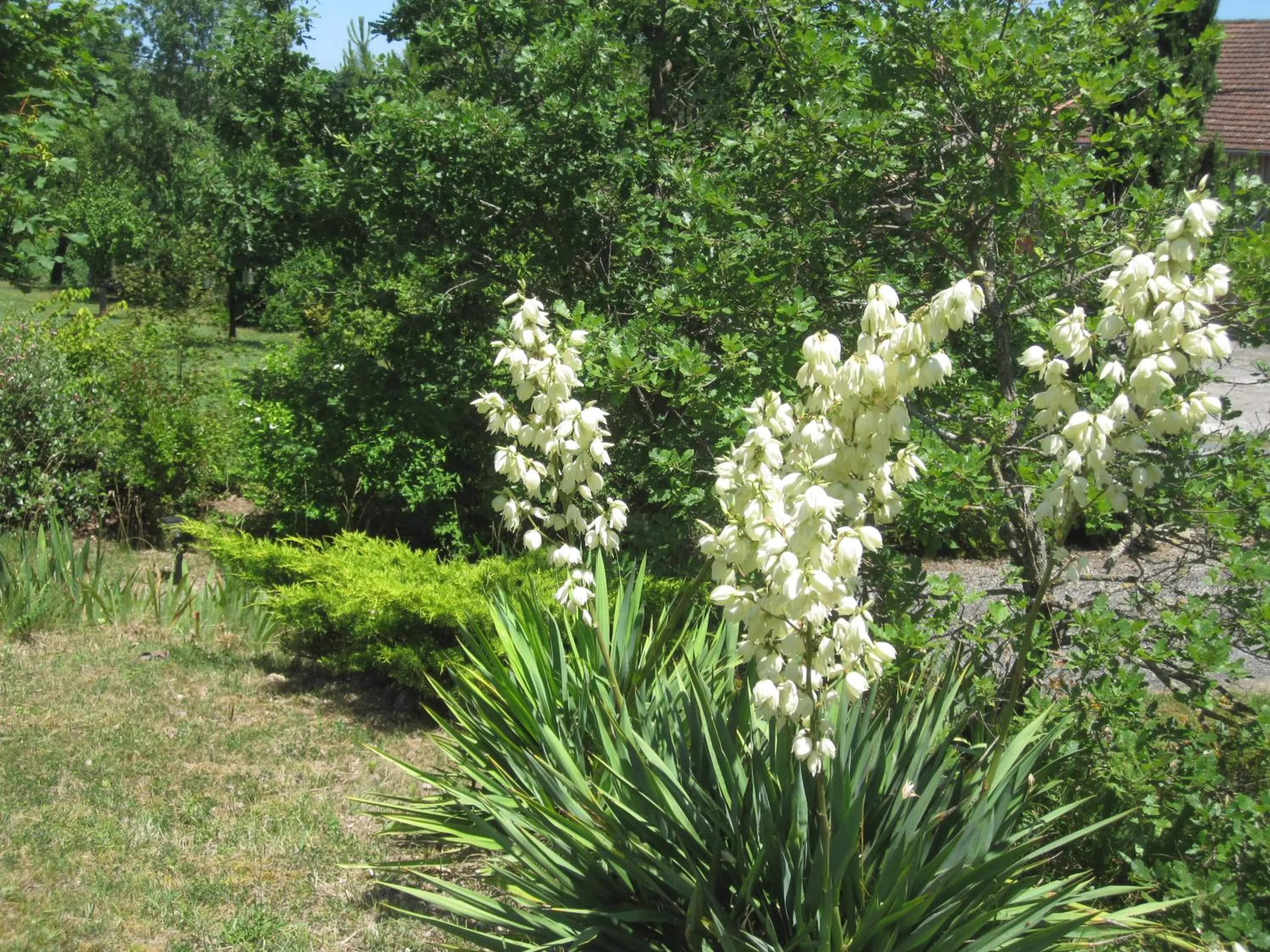 Garden in Bellegarde