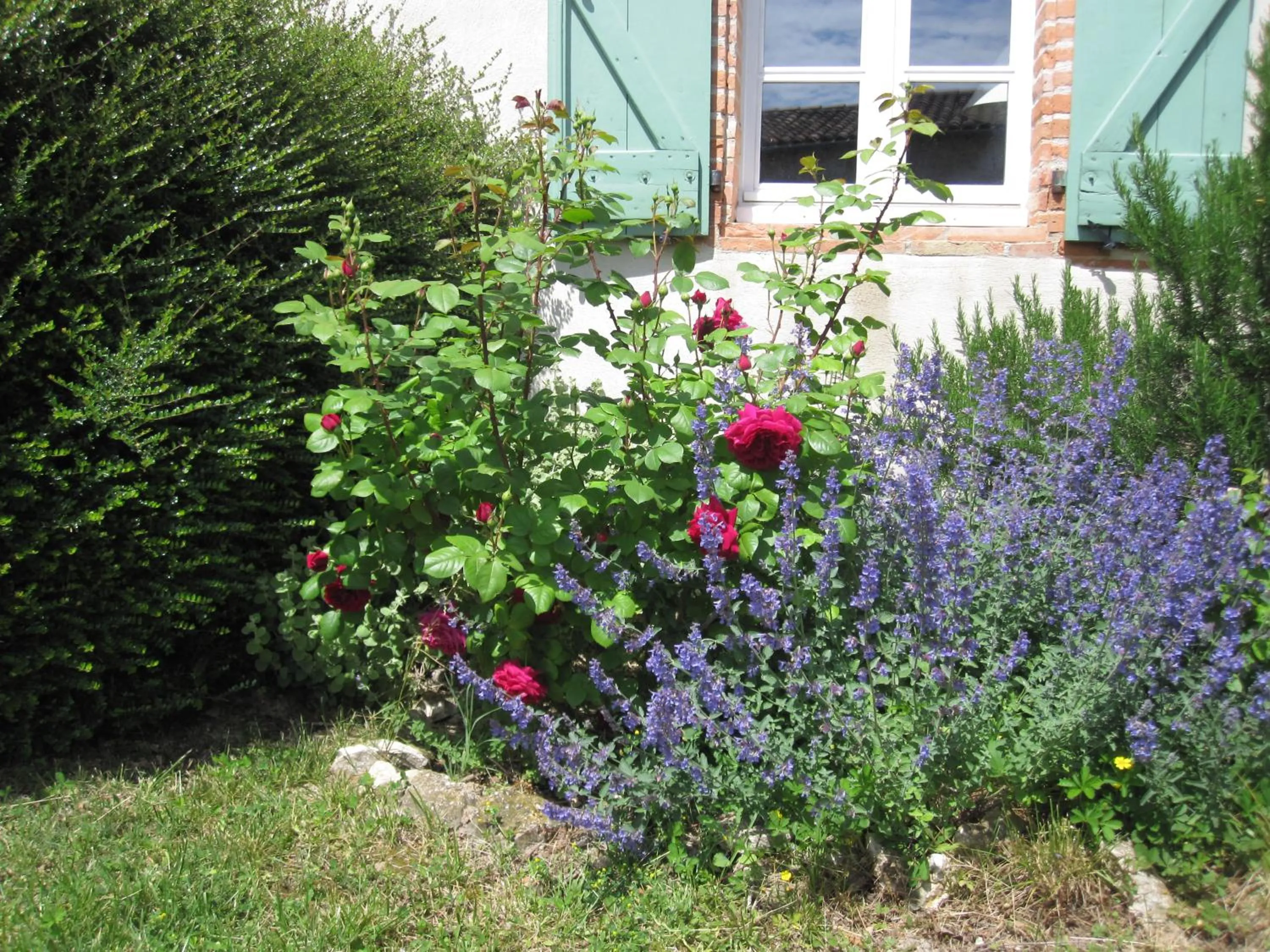 Garden in Bellegarde