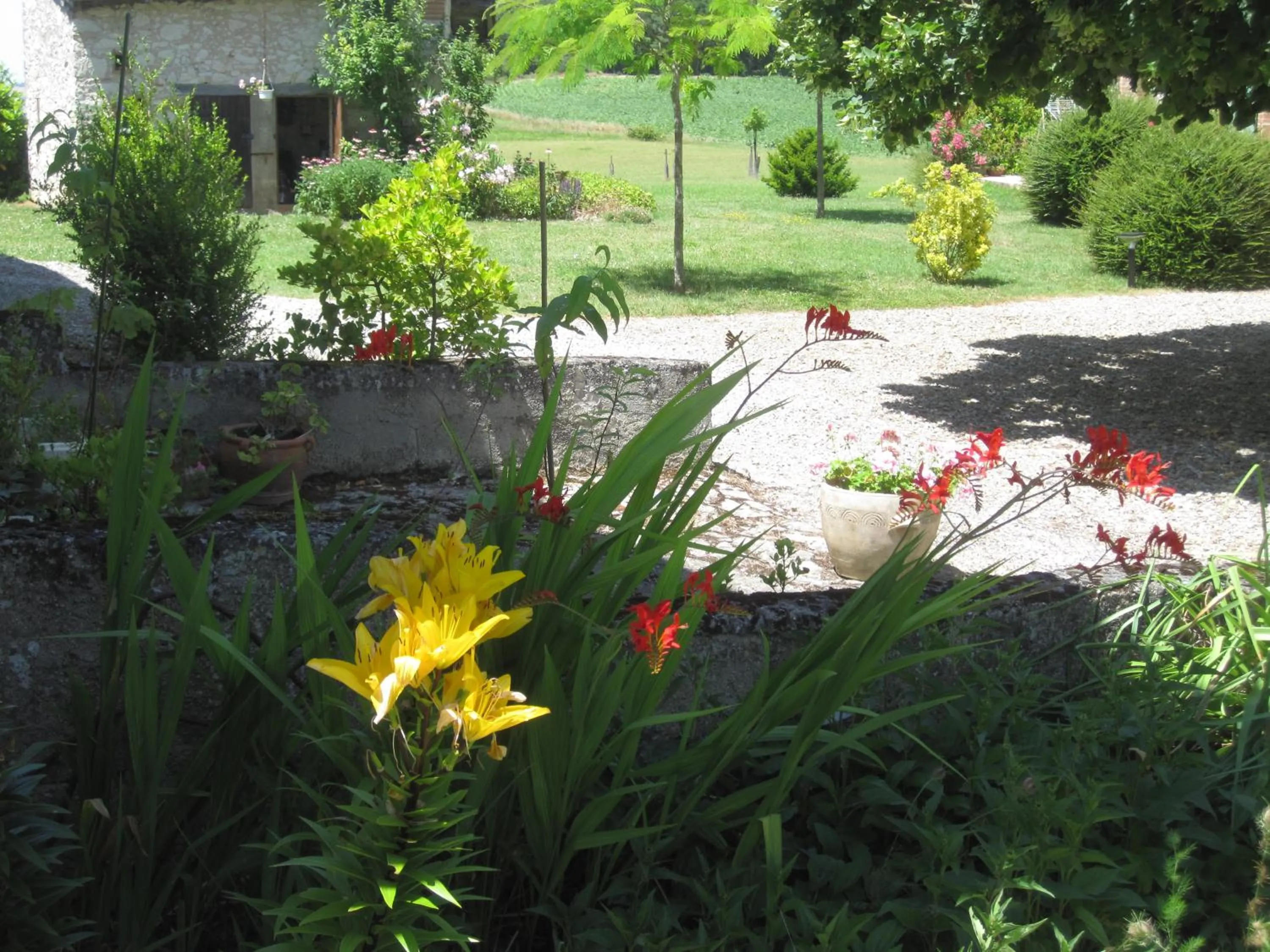 Garden in Bellegarde