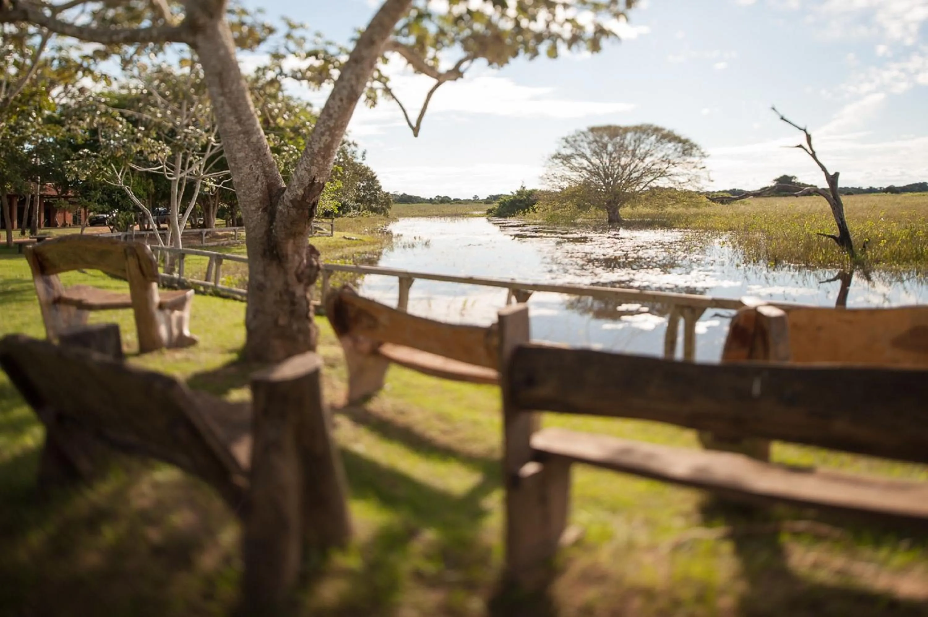 Area and facilities in Pousada Araras Pantanal Eco Lodge