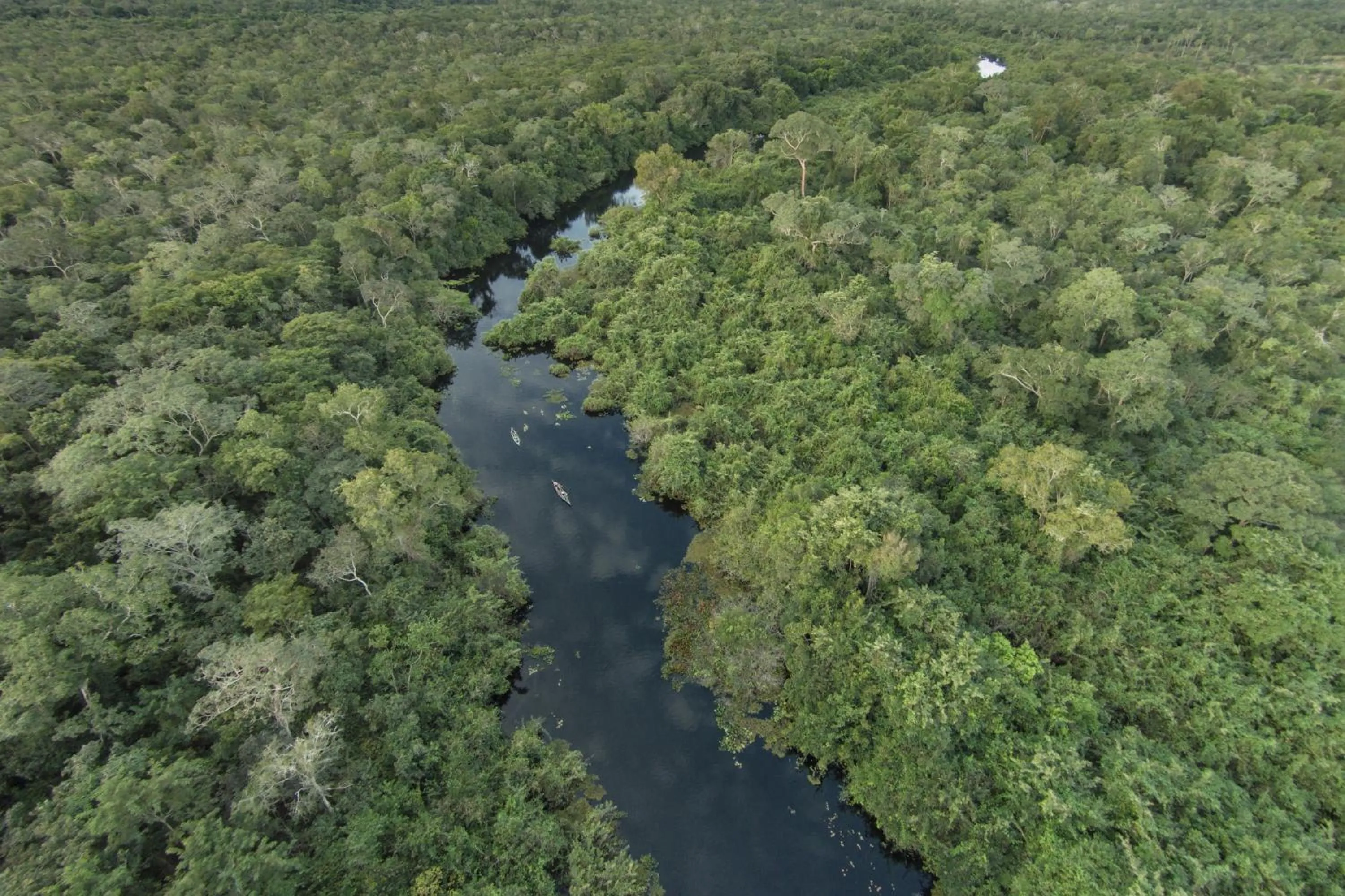 Bird's eye view in Pousada Araras Pantanal Eco Lodge
