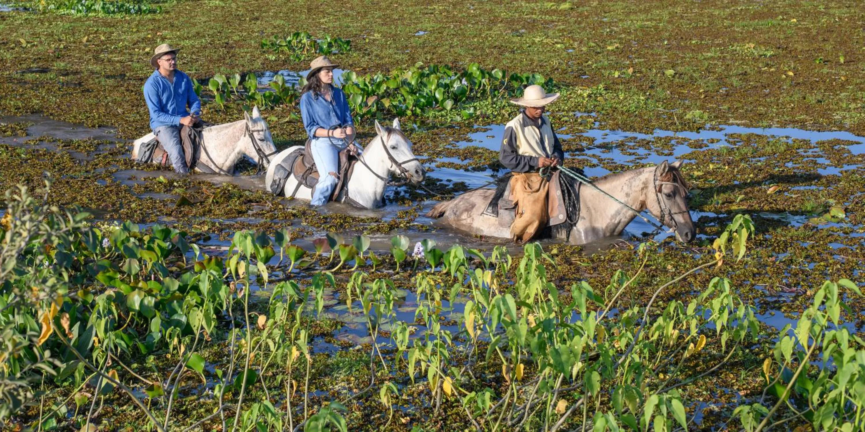 Horse-riding in Pousada Araras Pantanal Eco Lodge