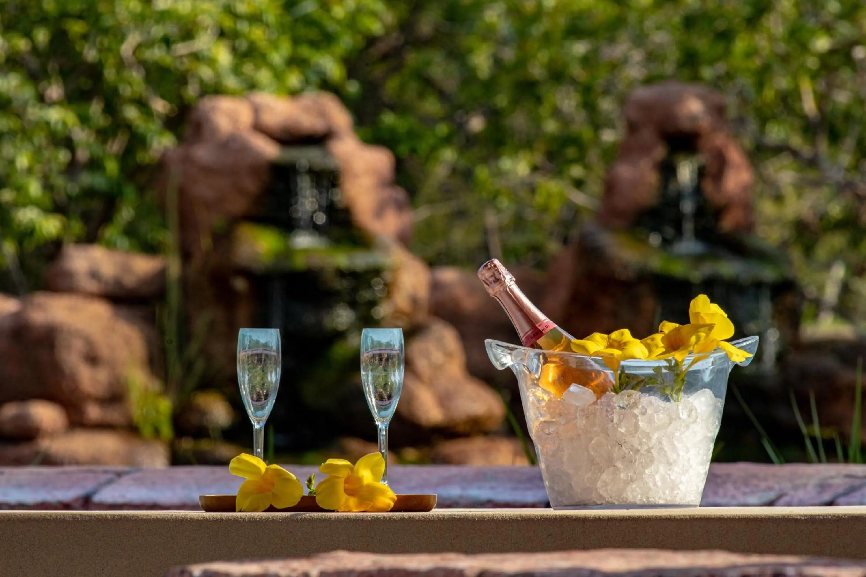 Food and drinks in Pousada Araras Pantanal Eco Lodge