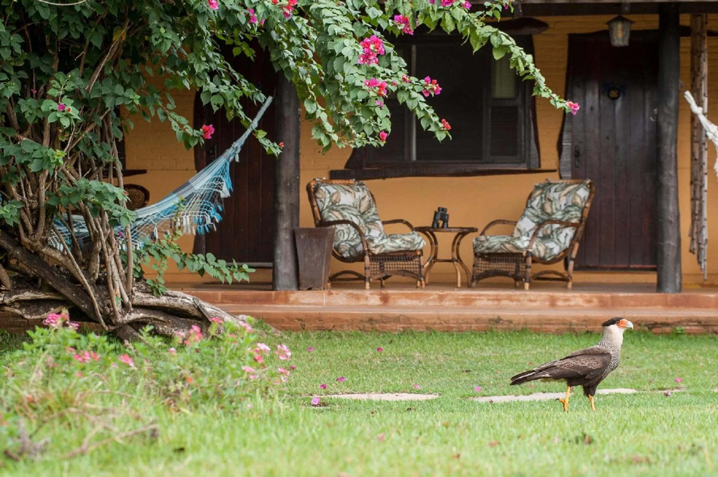 Natural landscape in Pousada Araras Pantanal Eco Lodge