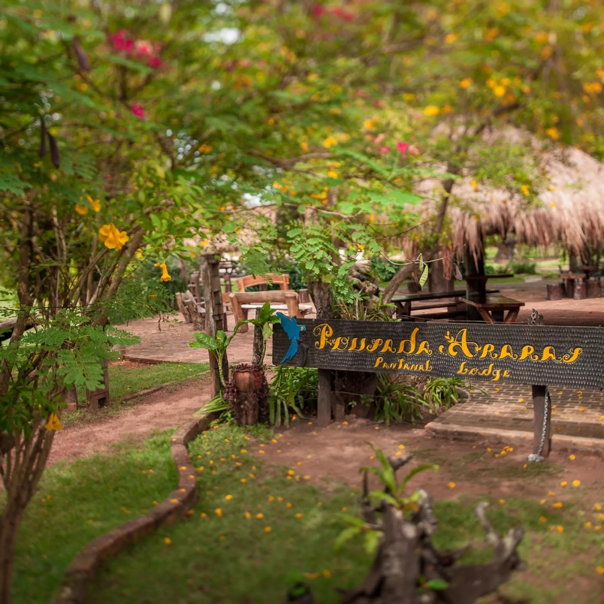 Natural landscape in Pousada Araras Pantanal Eco Lodge