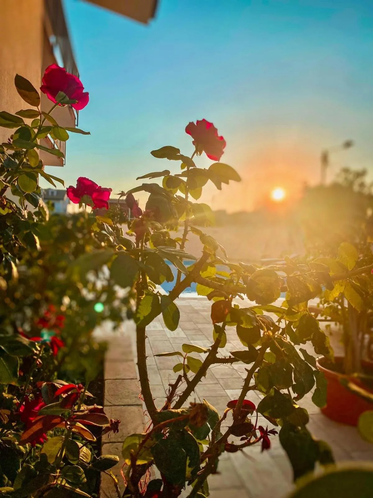Garden in Amada Hotel Siracusa