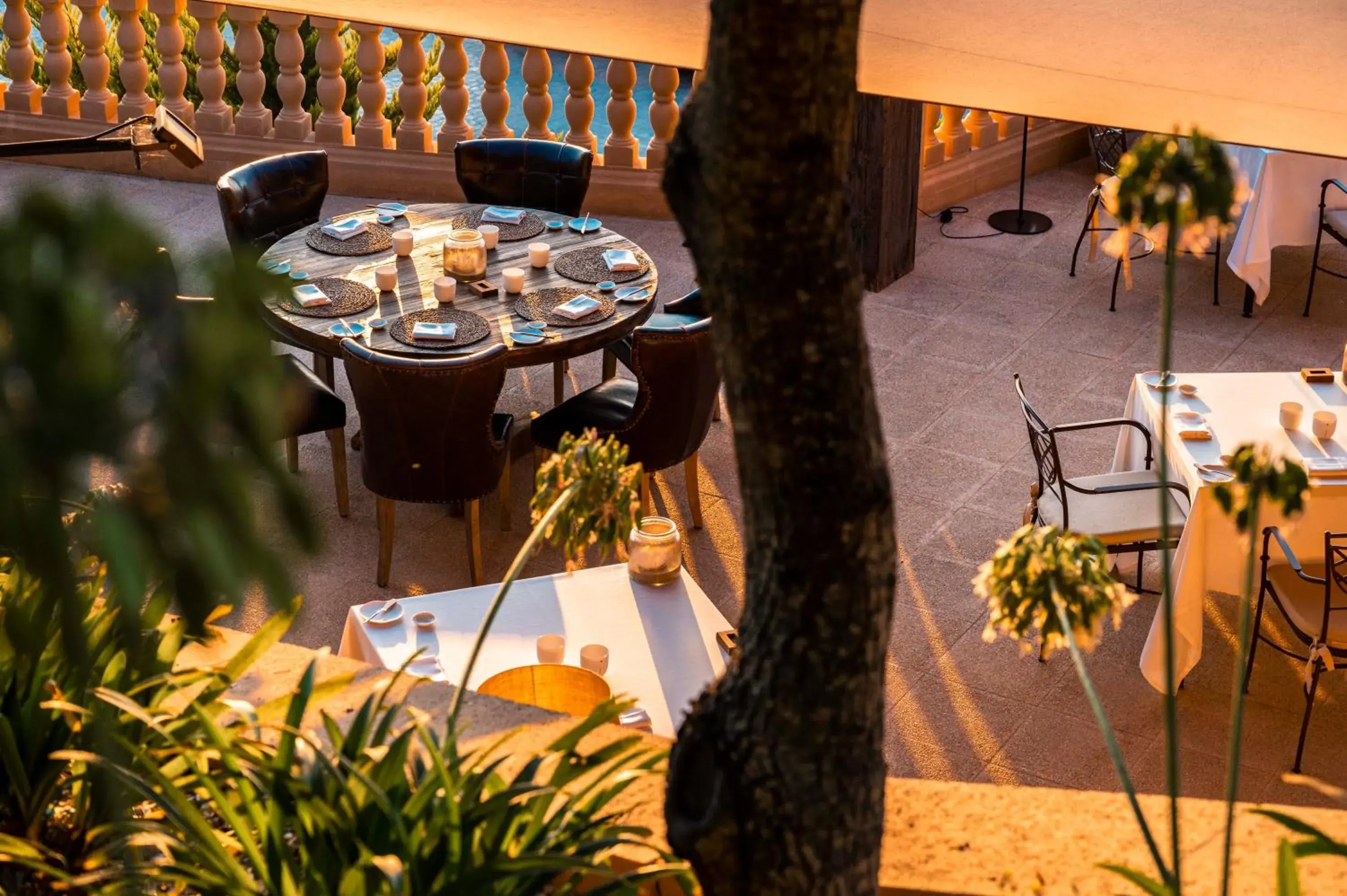 Restaurant/places to eat in Hotel Creu de Tau Art&Spa-Adults only Restaurant/places to eat in Hotel Creu de Tau Art&Spa-Adults only