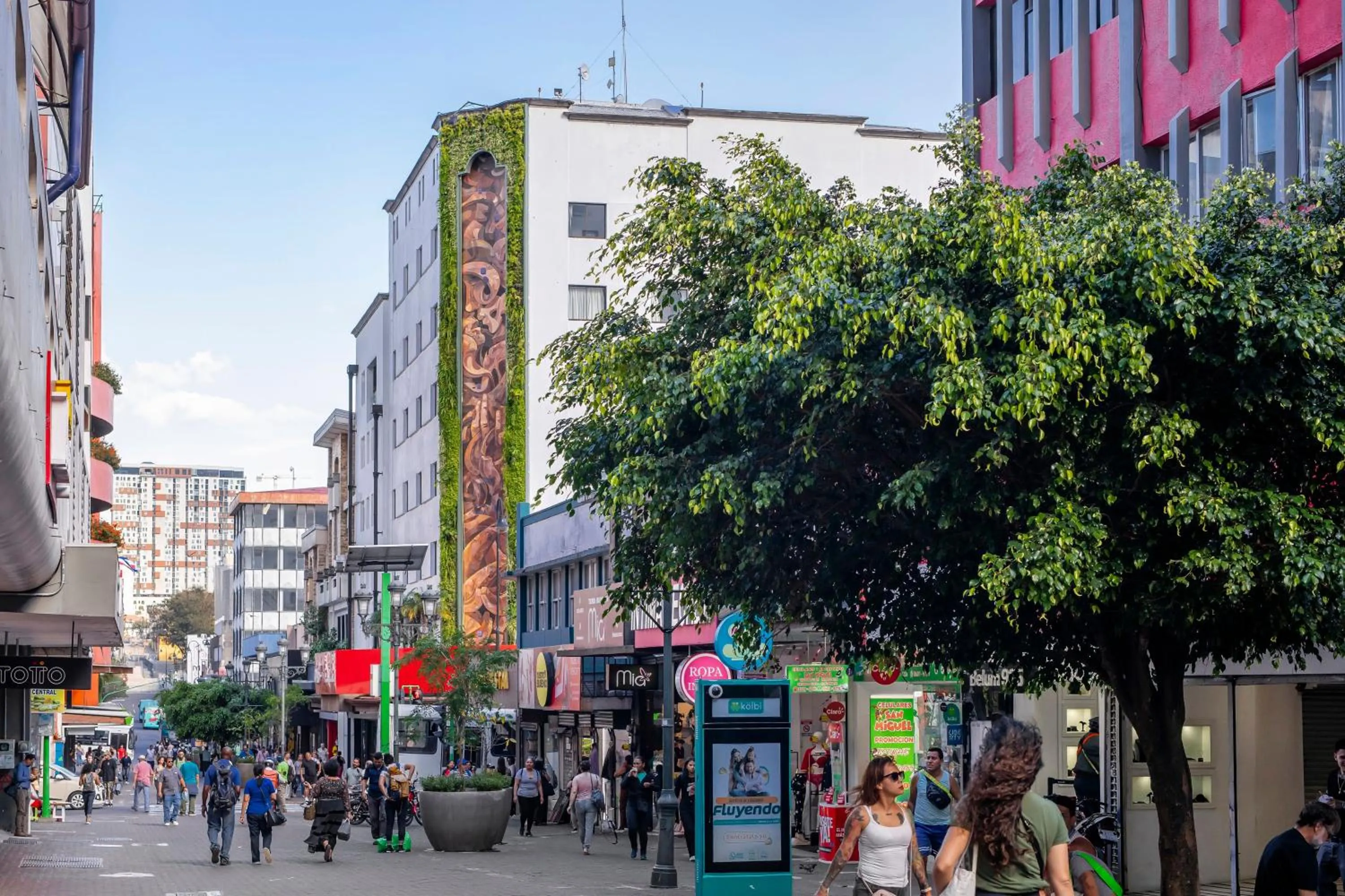 City view in Hotel Presidente