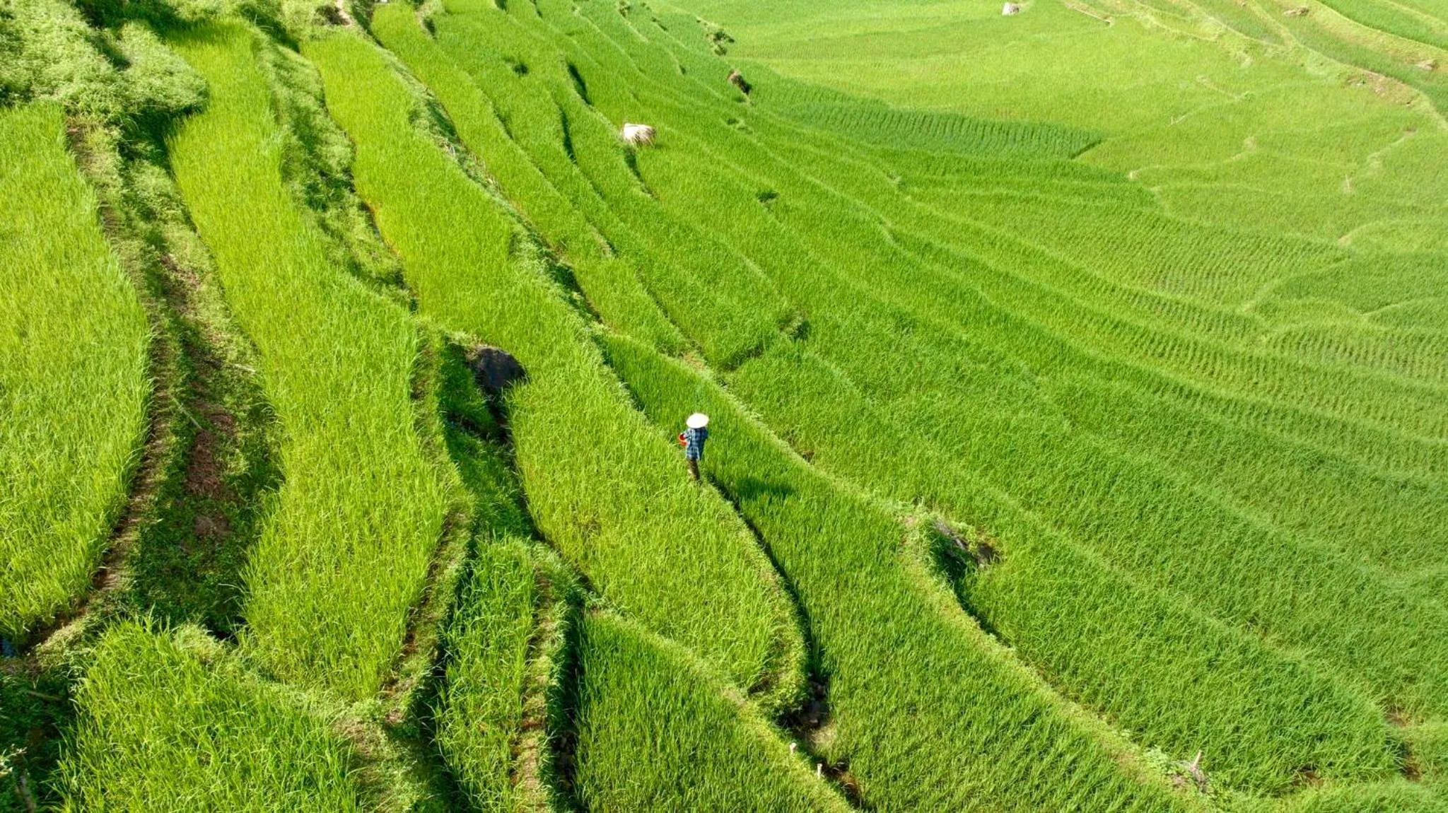 Natural landscape in Pu Luong Eco Garden