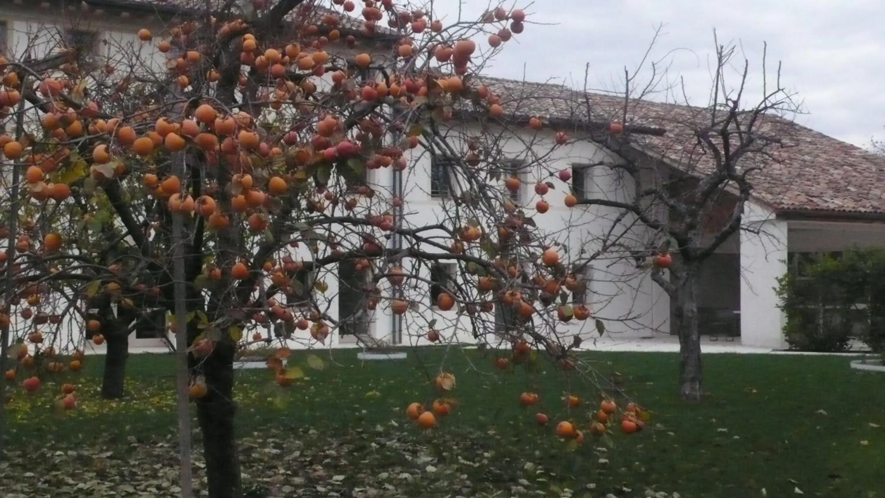 Day in Caspineda Agriturismo