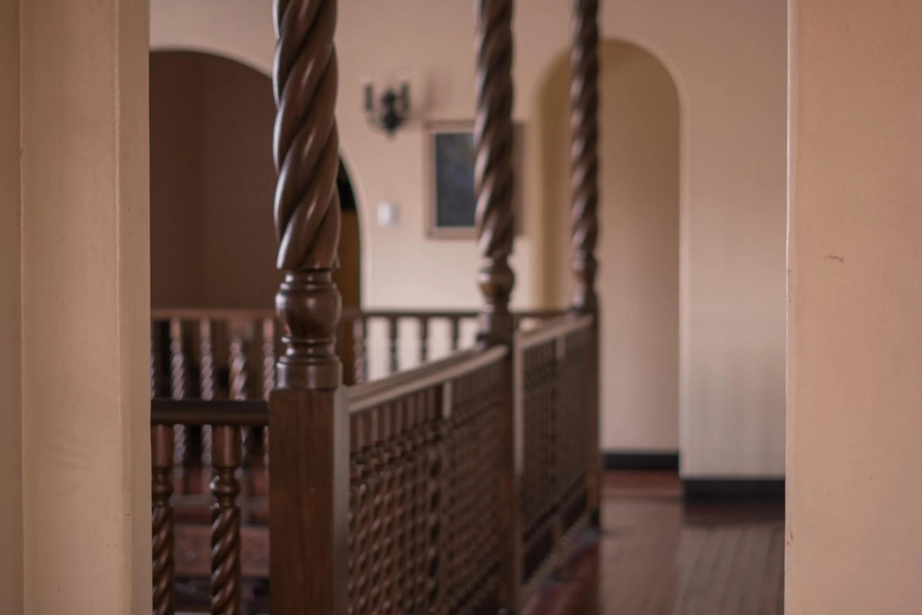 Decorative detail in Hotel Casa Colon