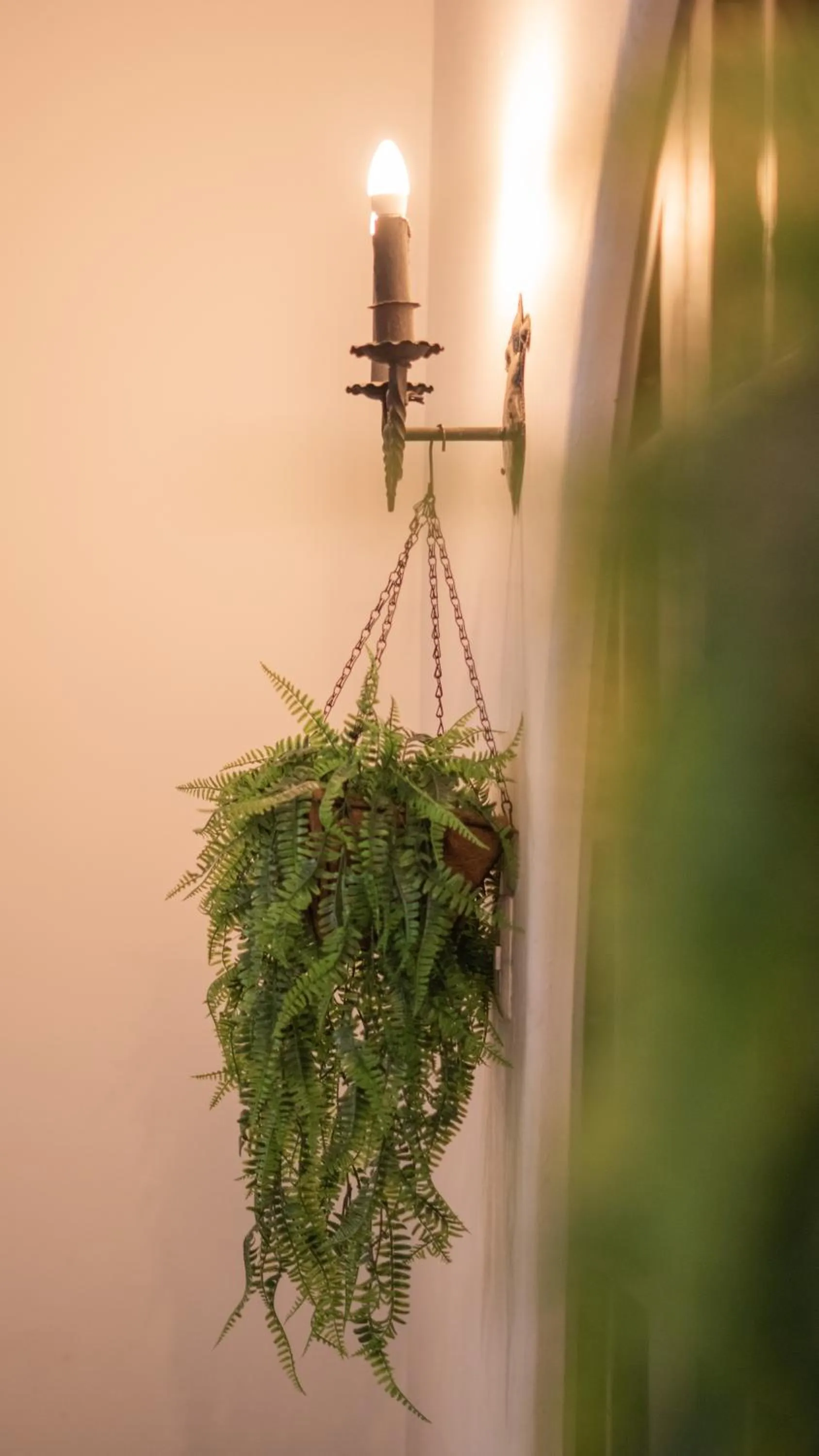 Decorative detail in Hotel Casa Colon