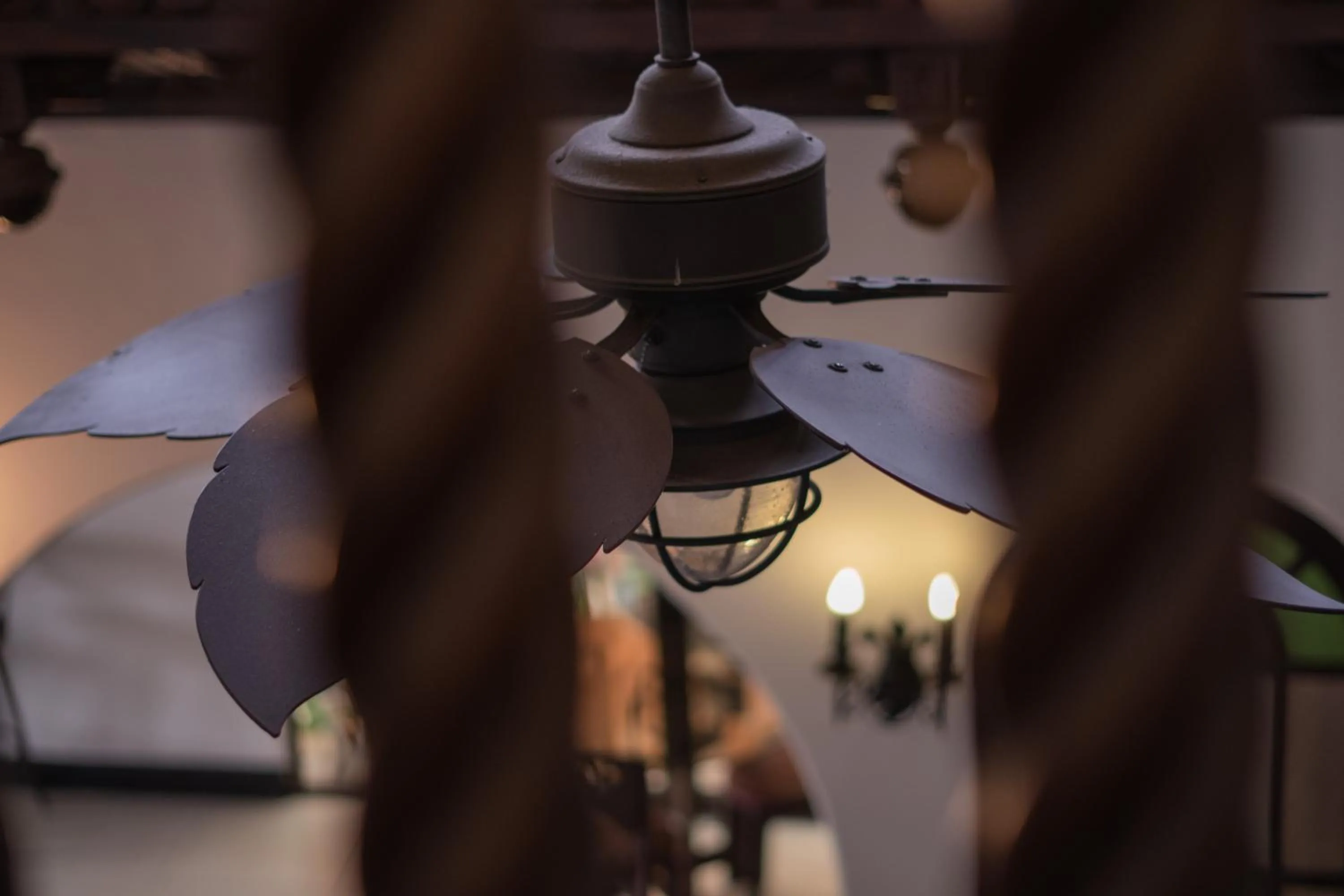 Decorative detail in Hotel Casa Colon