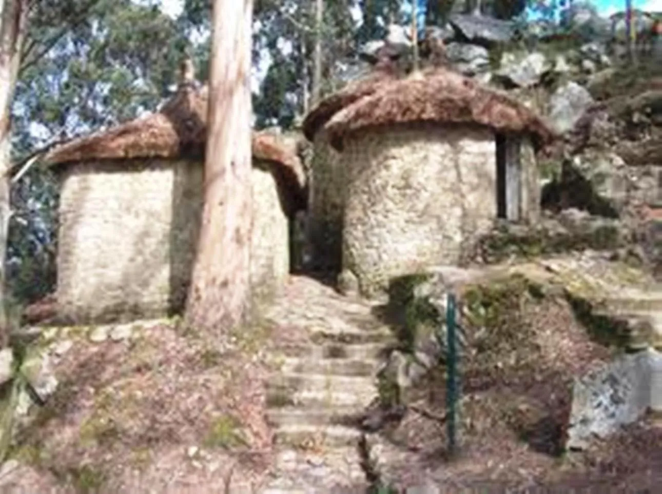 Natural landscape in Hotel Rio Cávado