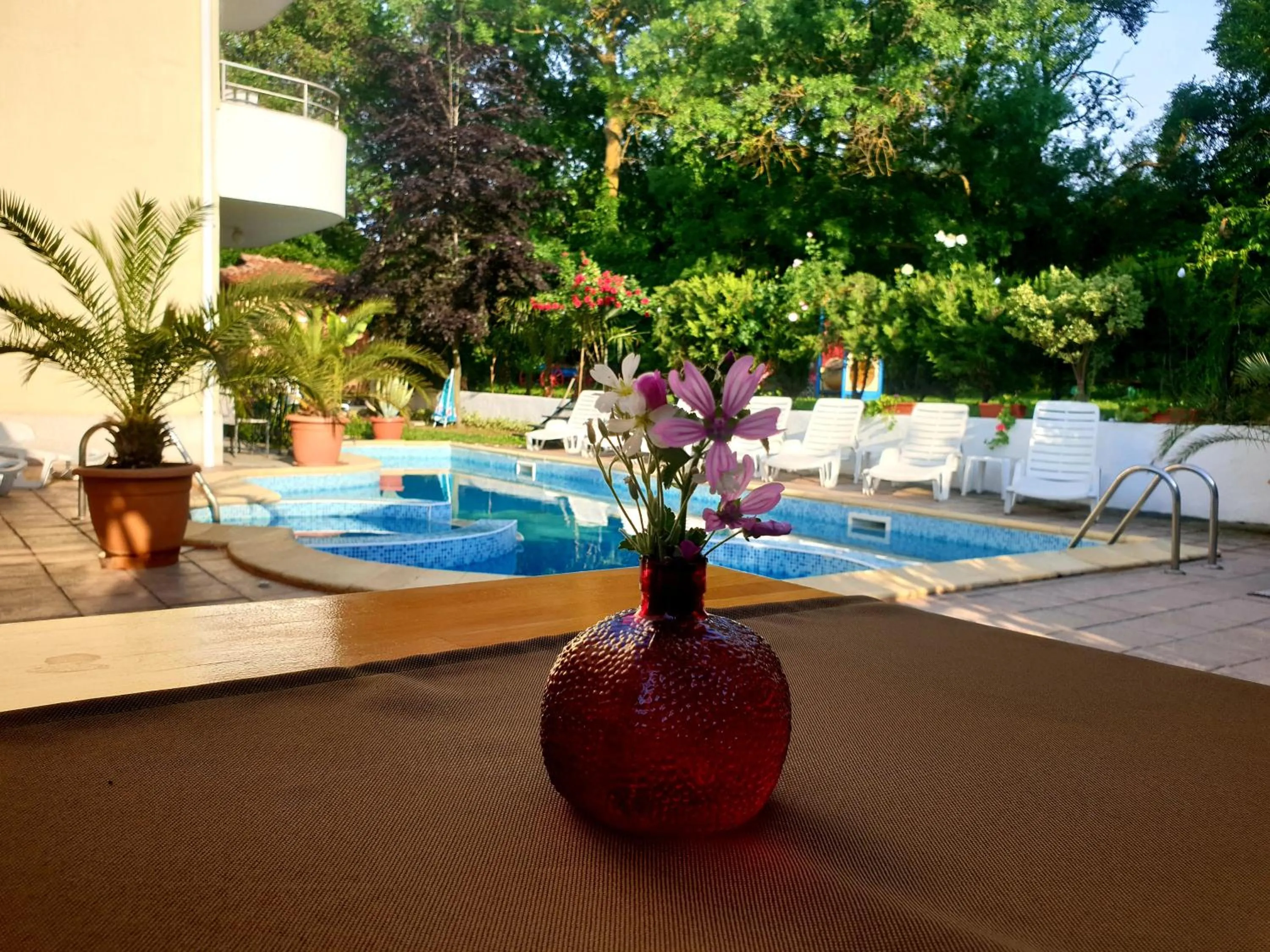 Restaurant/places to eat in Hotel Feniks Lozenets