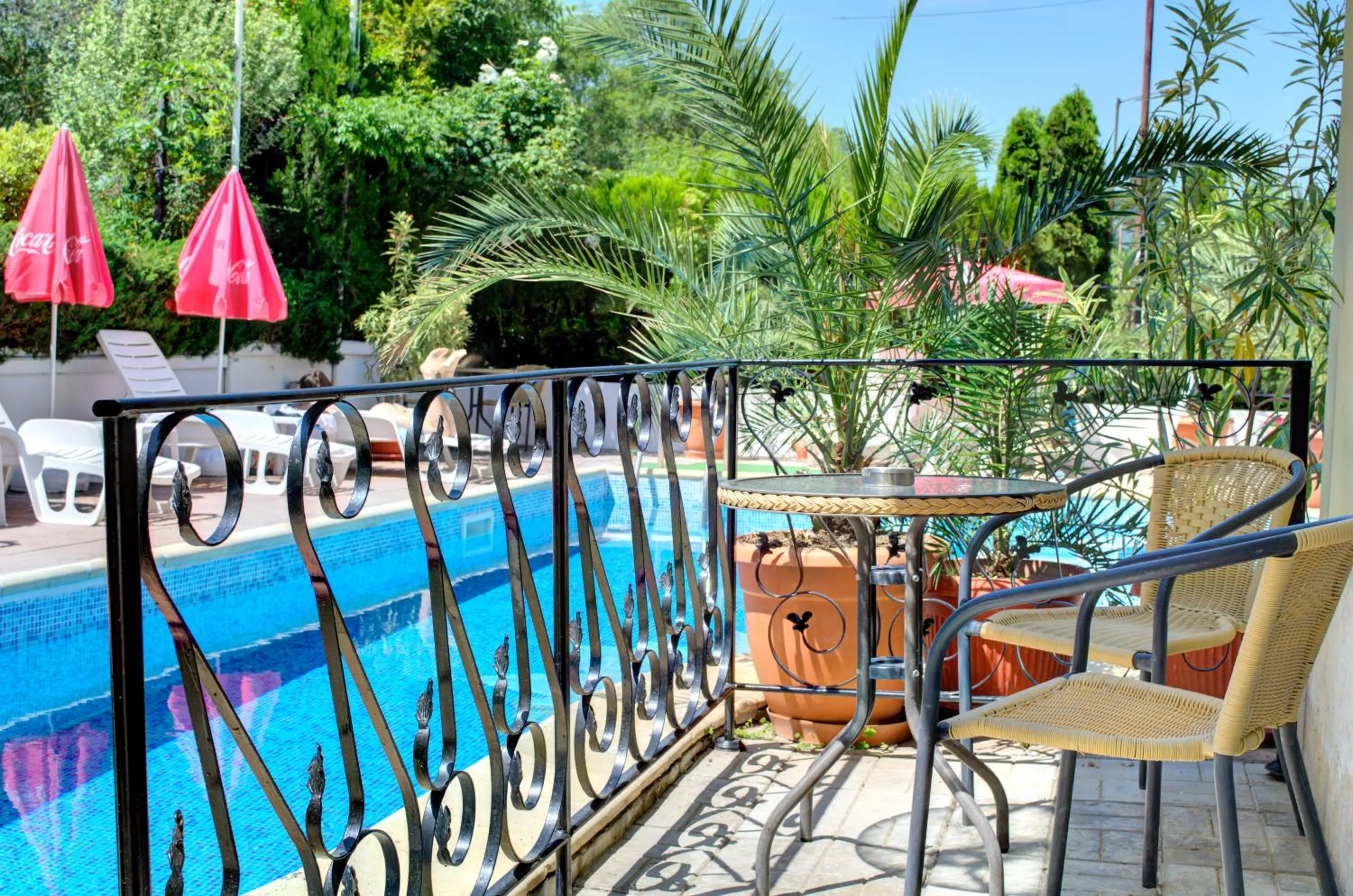 Garden view in Hotel Feniks Lozenets