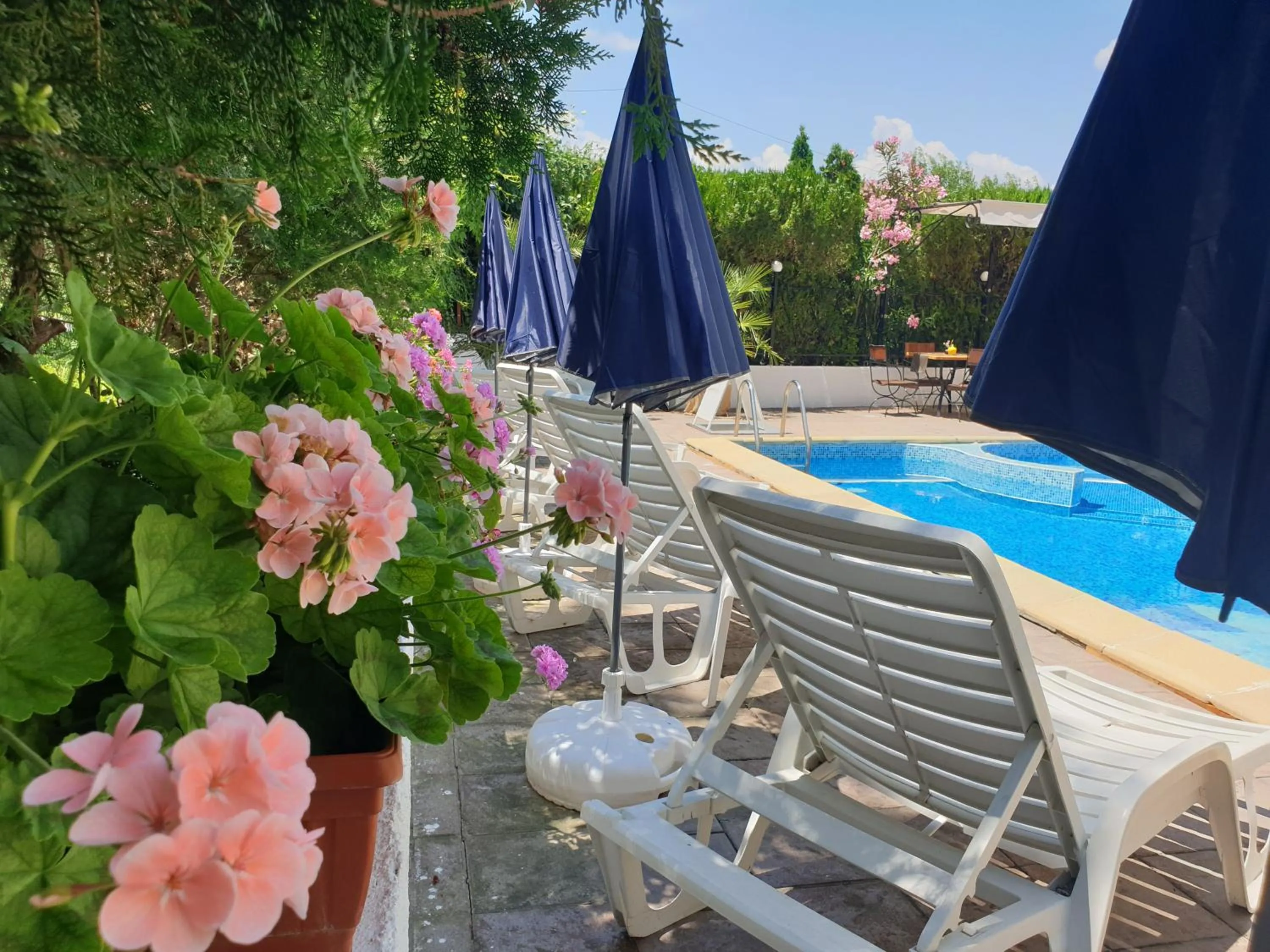 Swimming pool in Hotel Feniks Lozenets