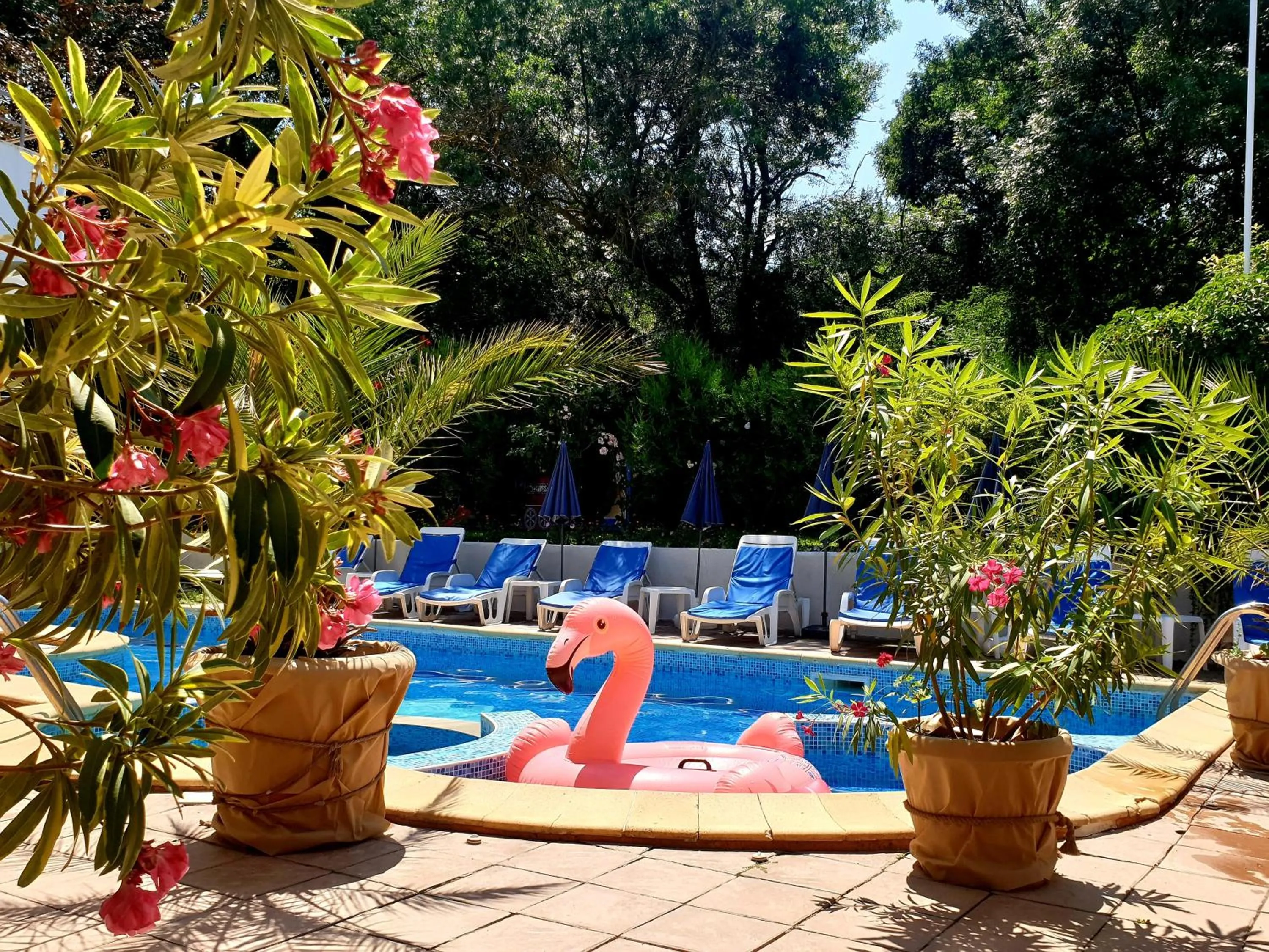 Day in Hotel Feniks Lozenets